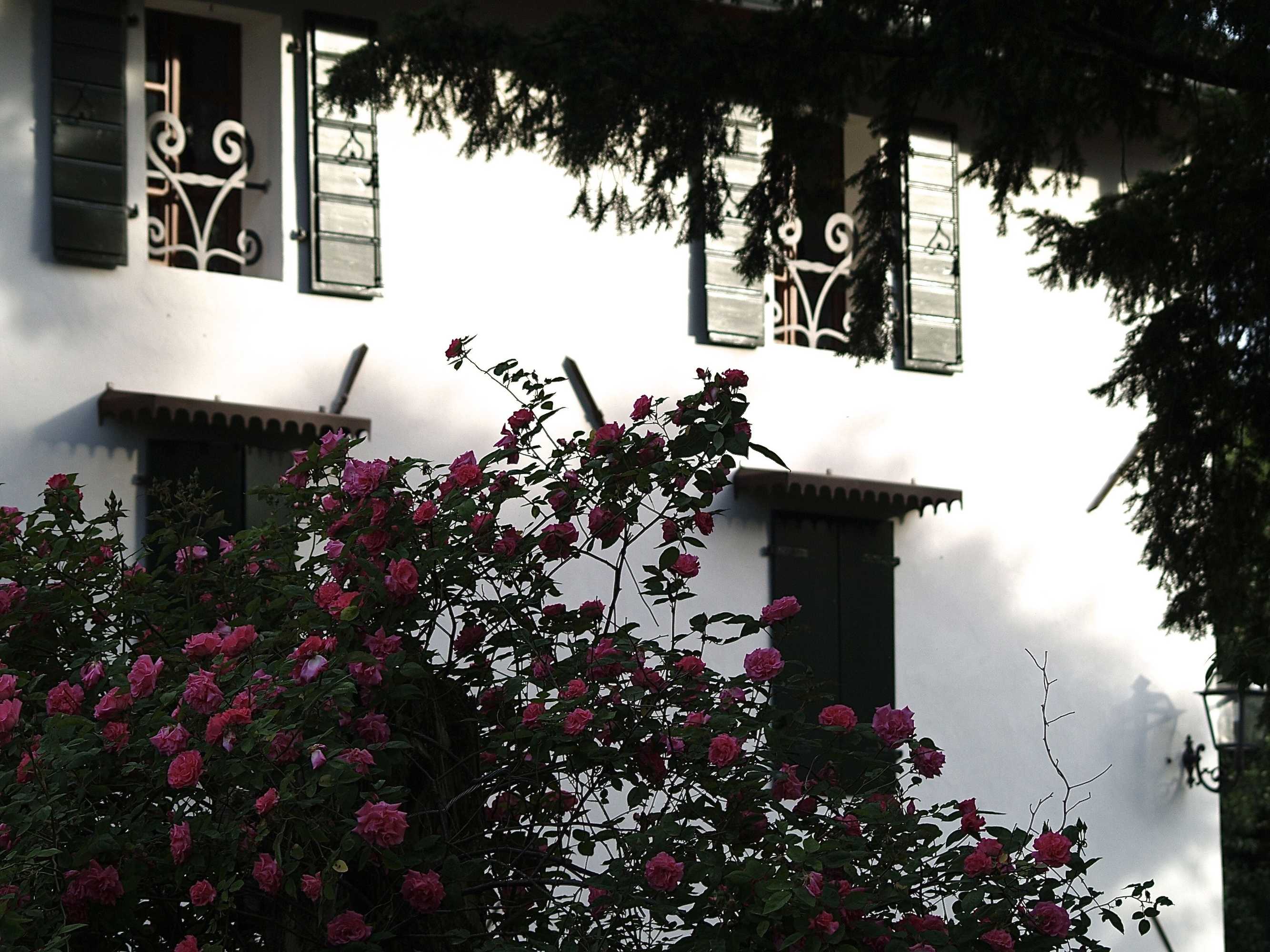 Gift card for Ca' Marsure B&b Gift card for Ca' Marsure B&b