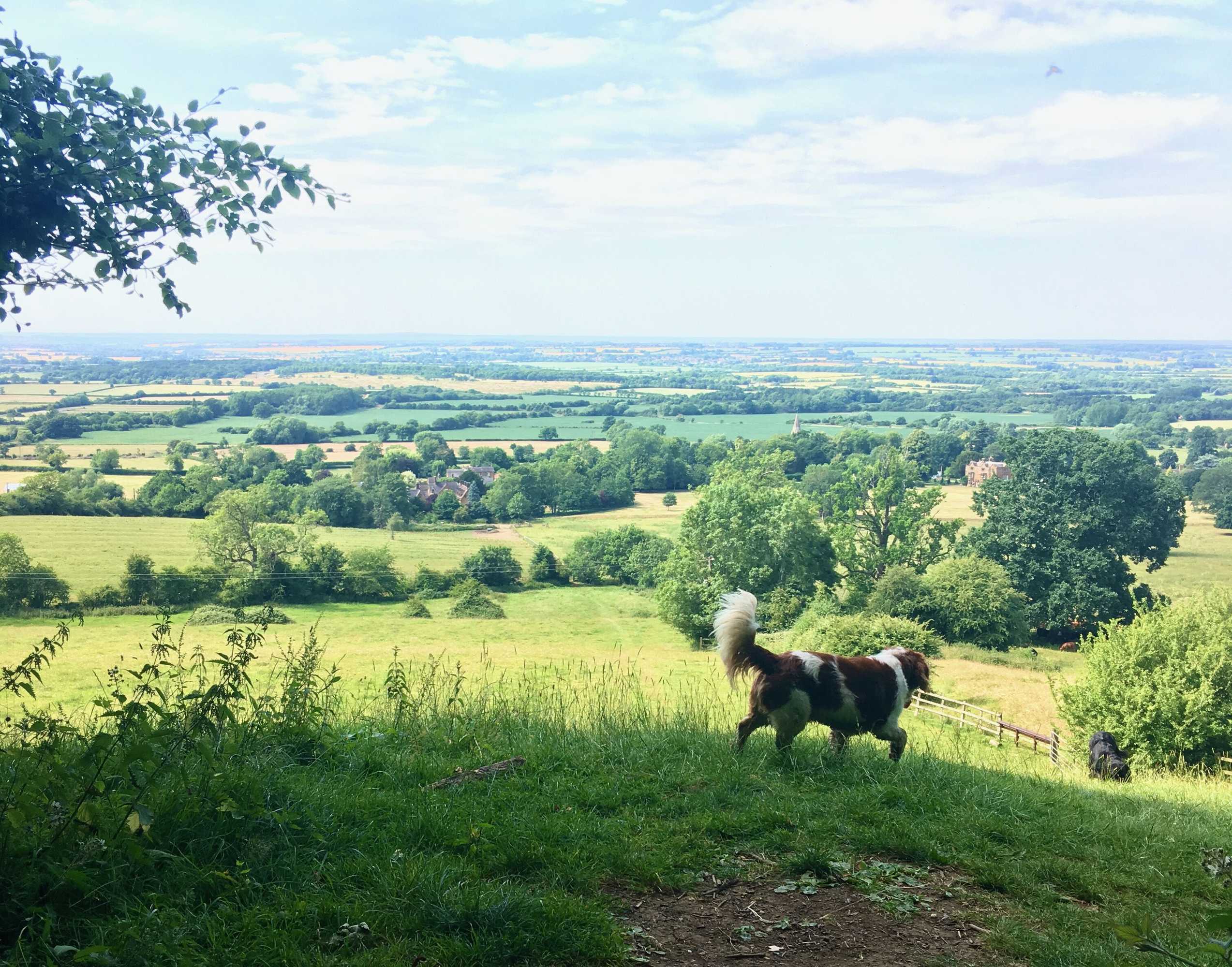 Gift card for Garden Barn