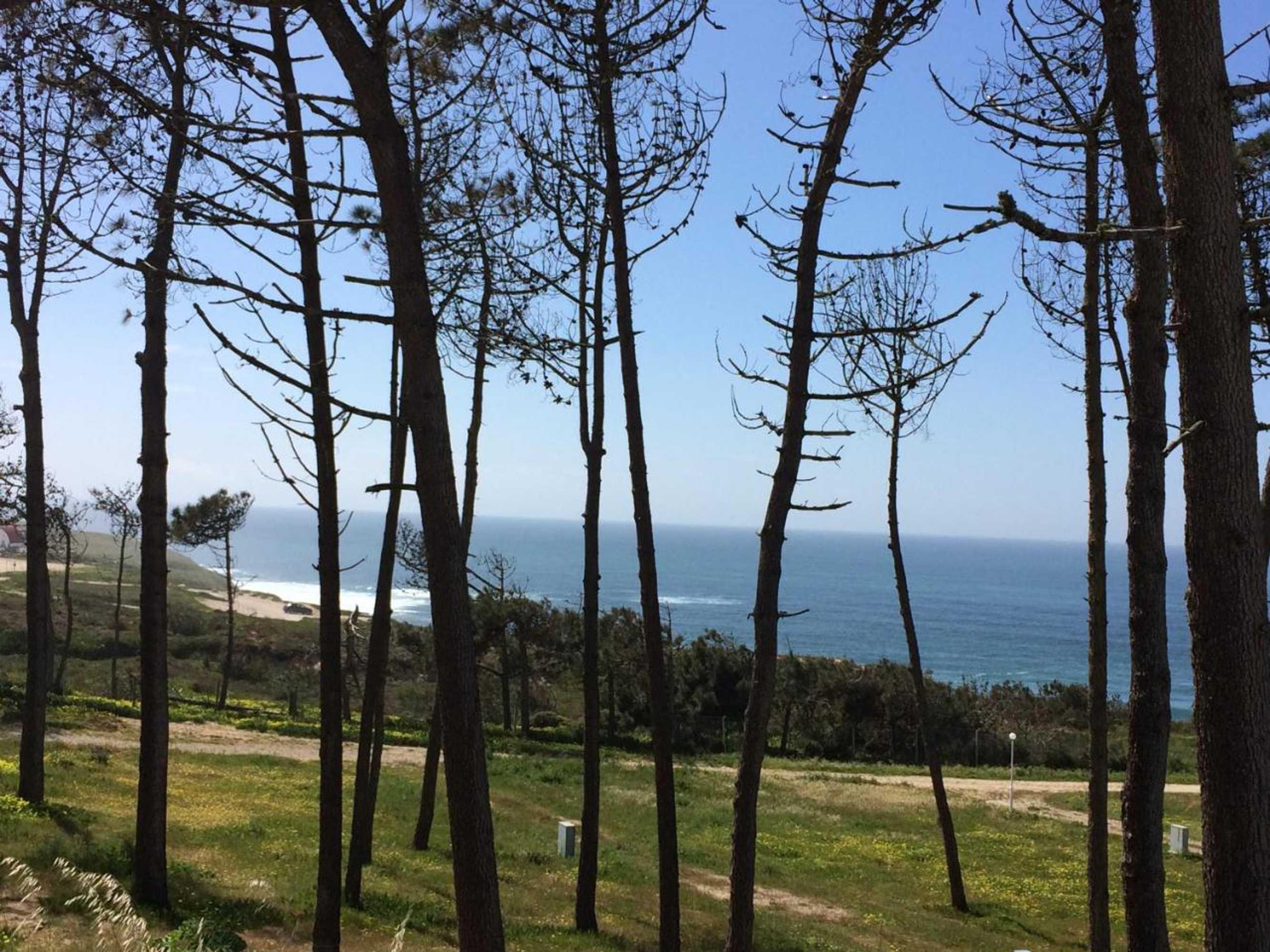 Gift card for Campimeco by Campigir