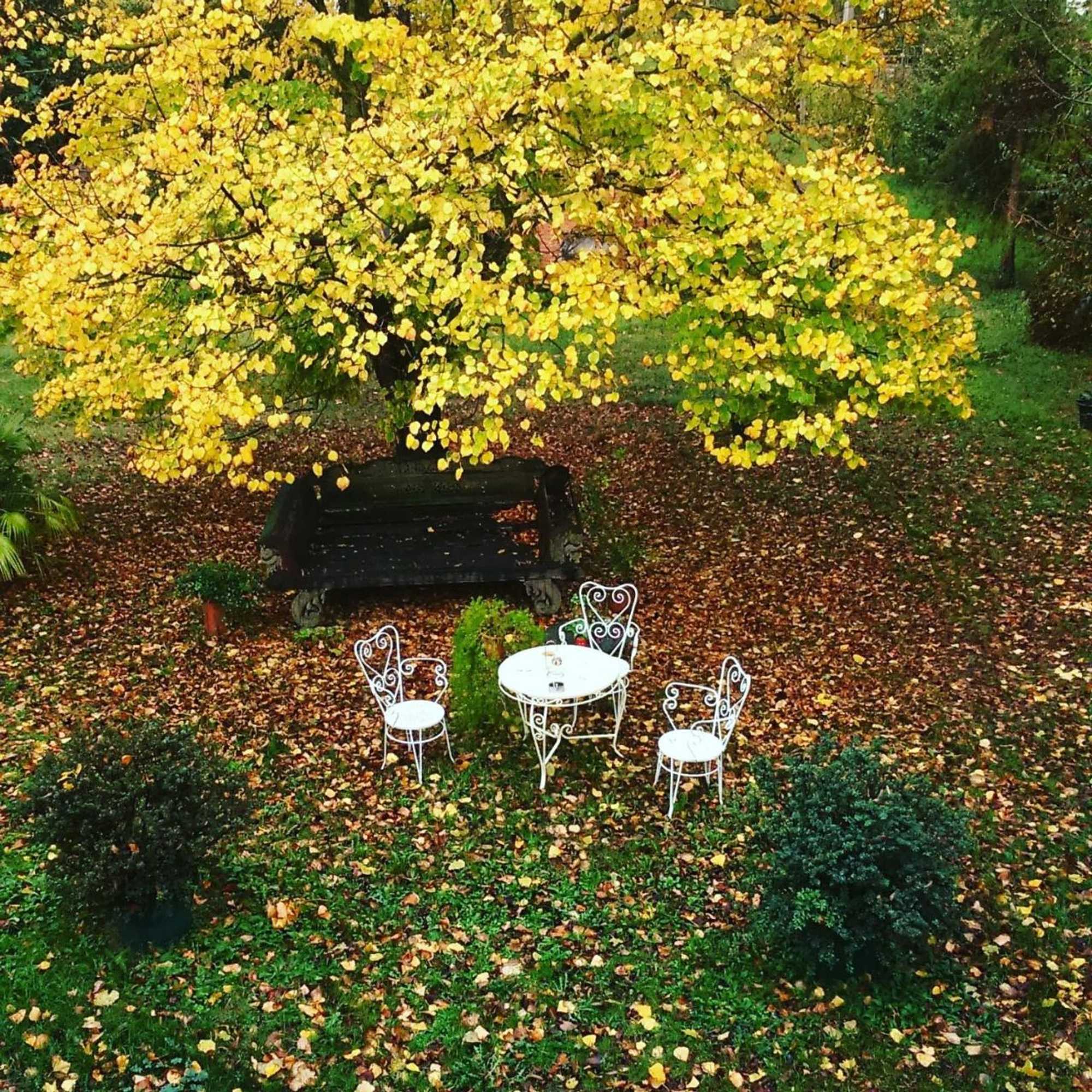 Gift card for Corte di Maggio B&b