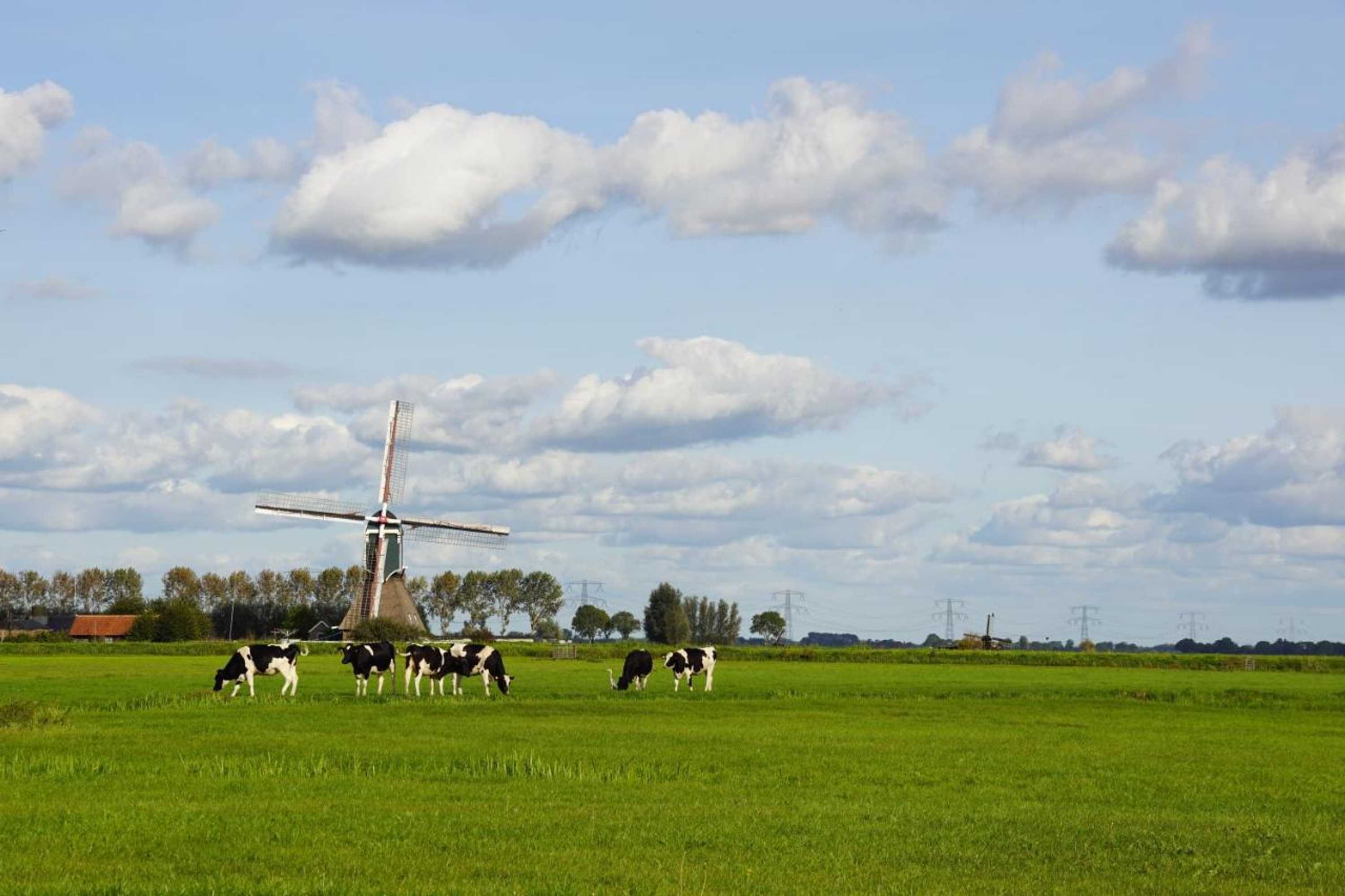 Gift card for Vertoeven Bij Verhoeven