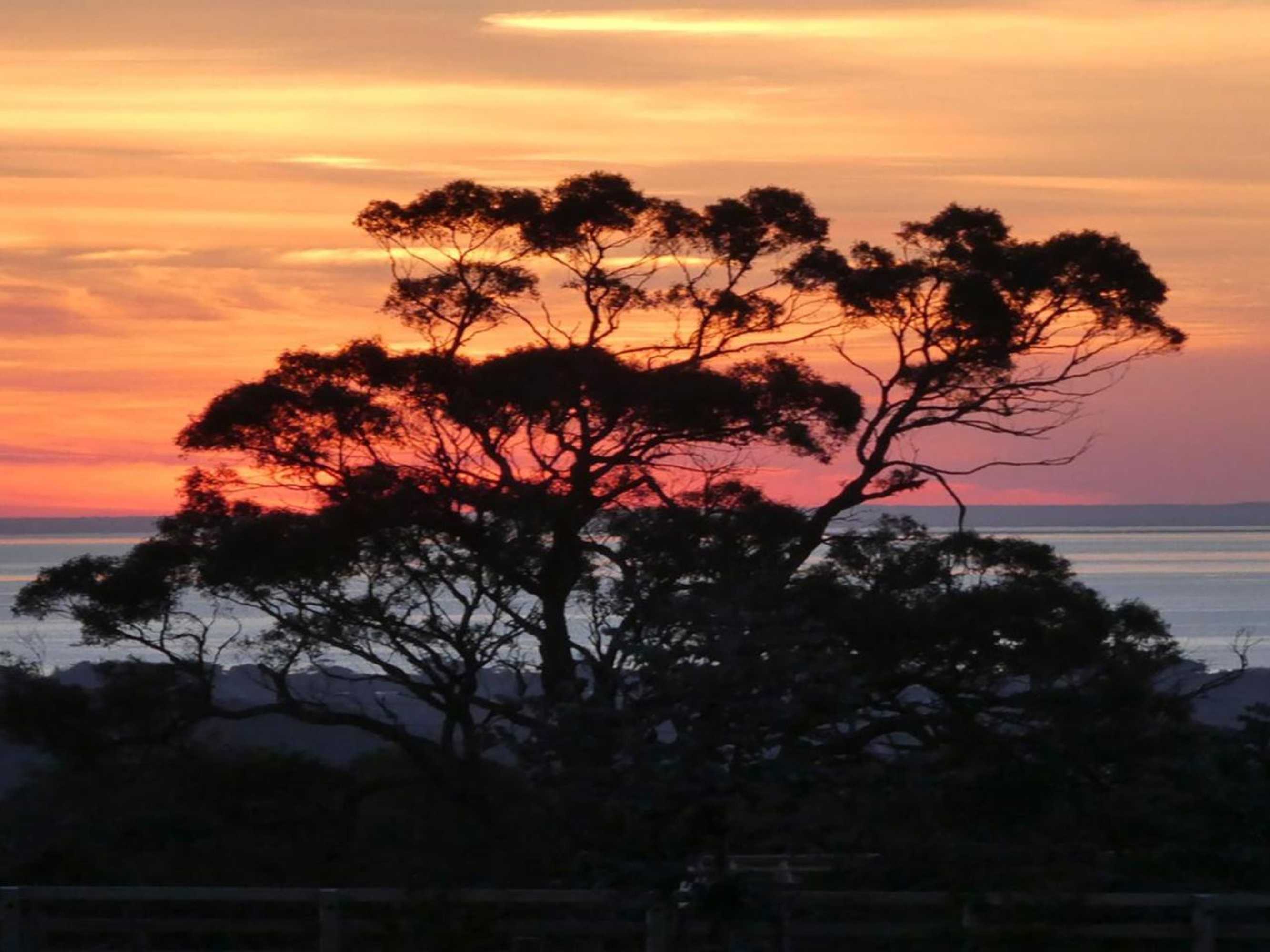 Gift card for Red Hill Ridge