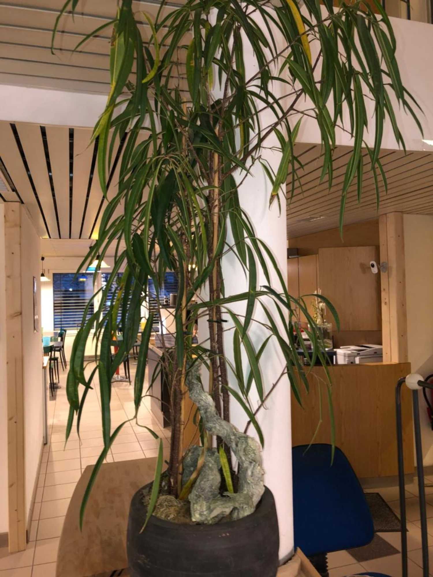 Gift card for Motel Drei König- Ihr Transithotel