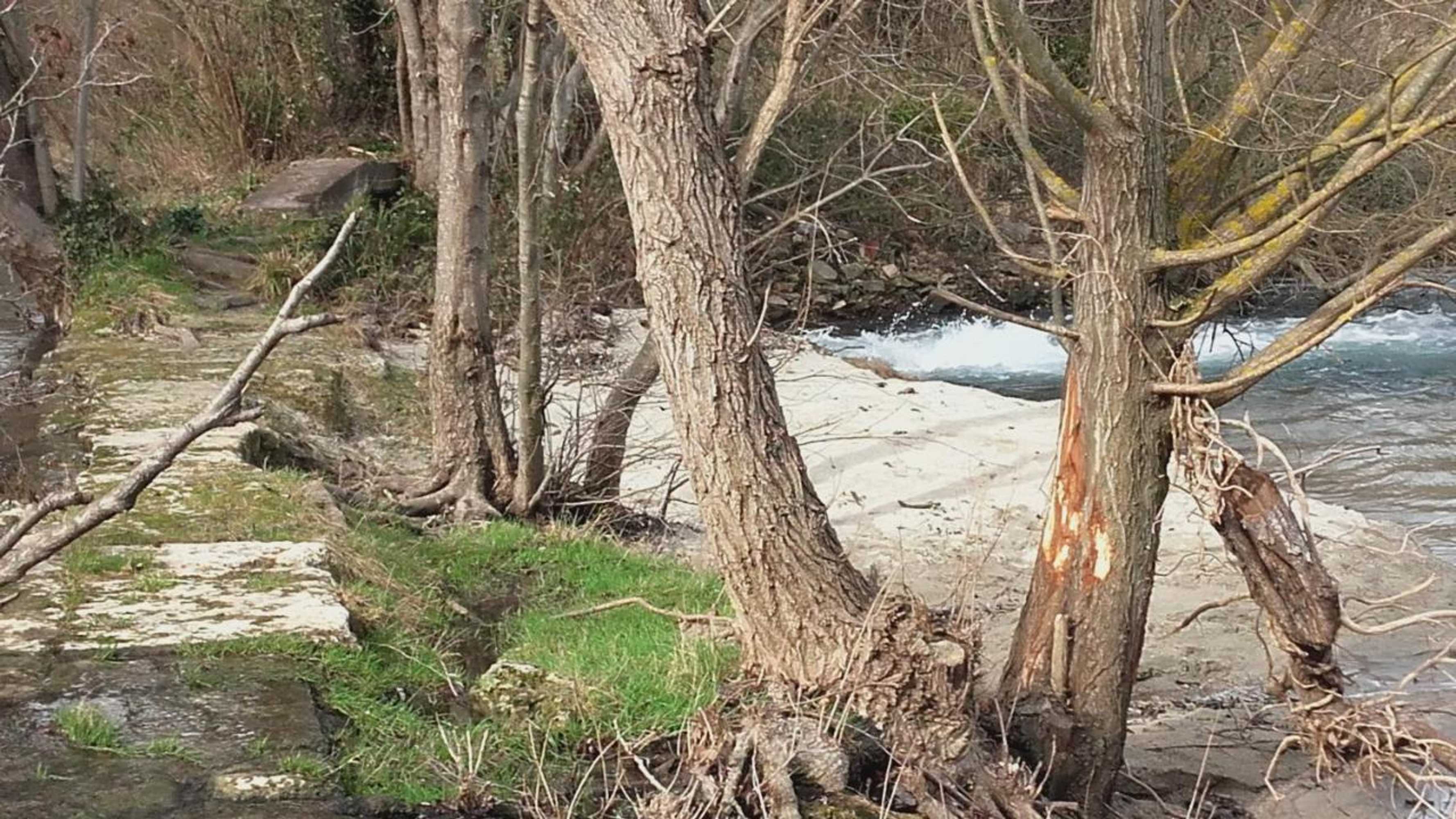 Gift card for Domaine Des Petits Cancets Gift card for Domaine Des Petits Cancets