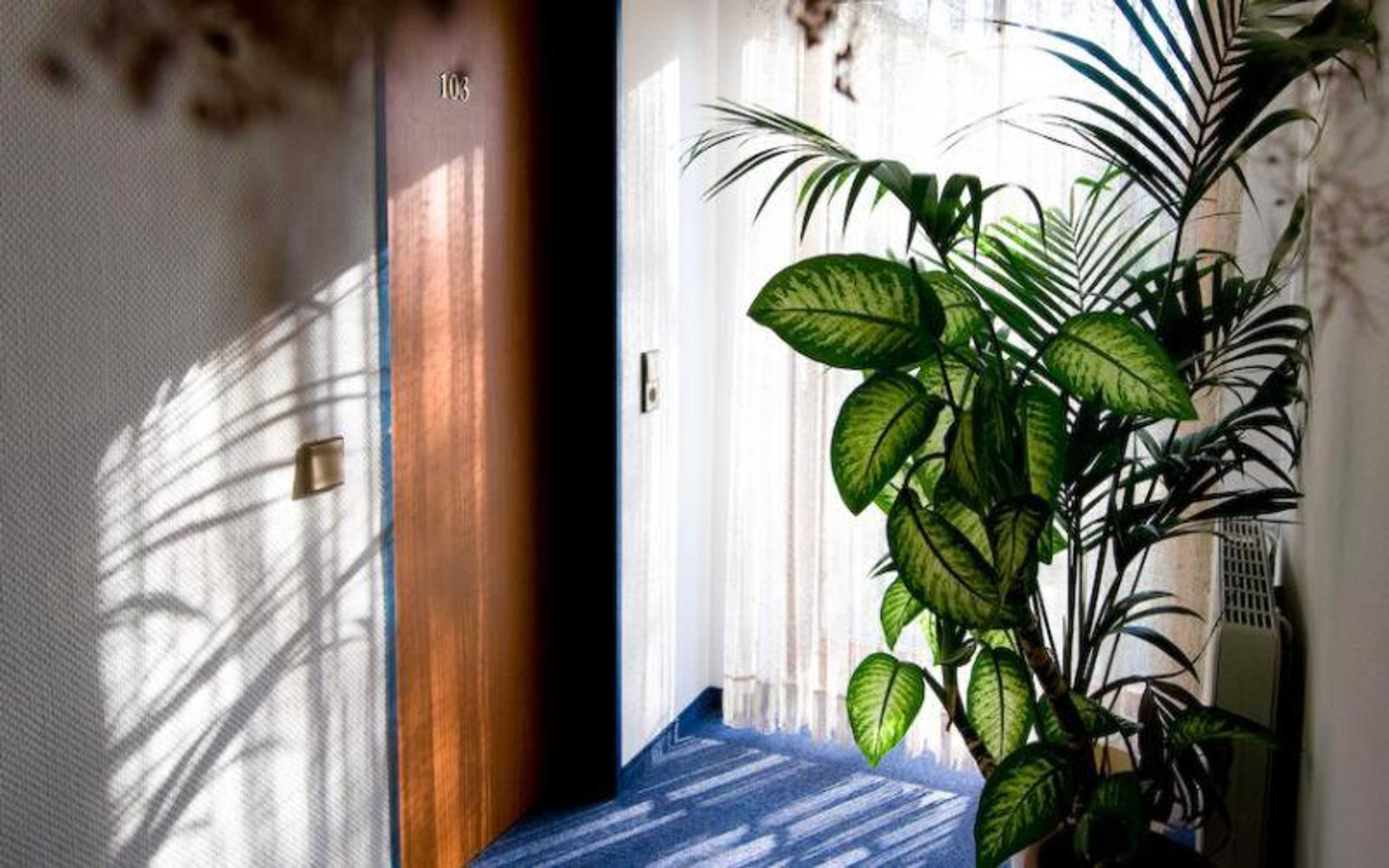 Gift card for Grüner Baum