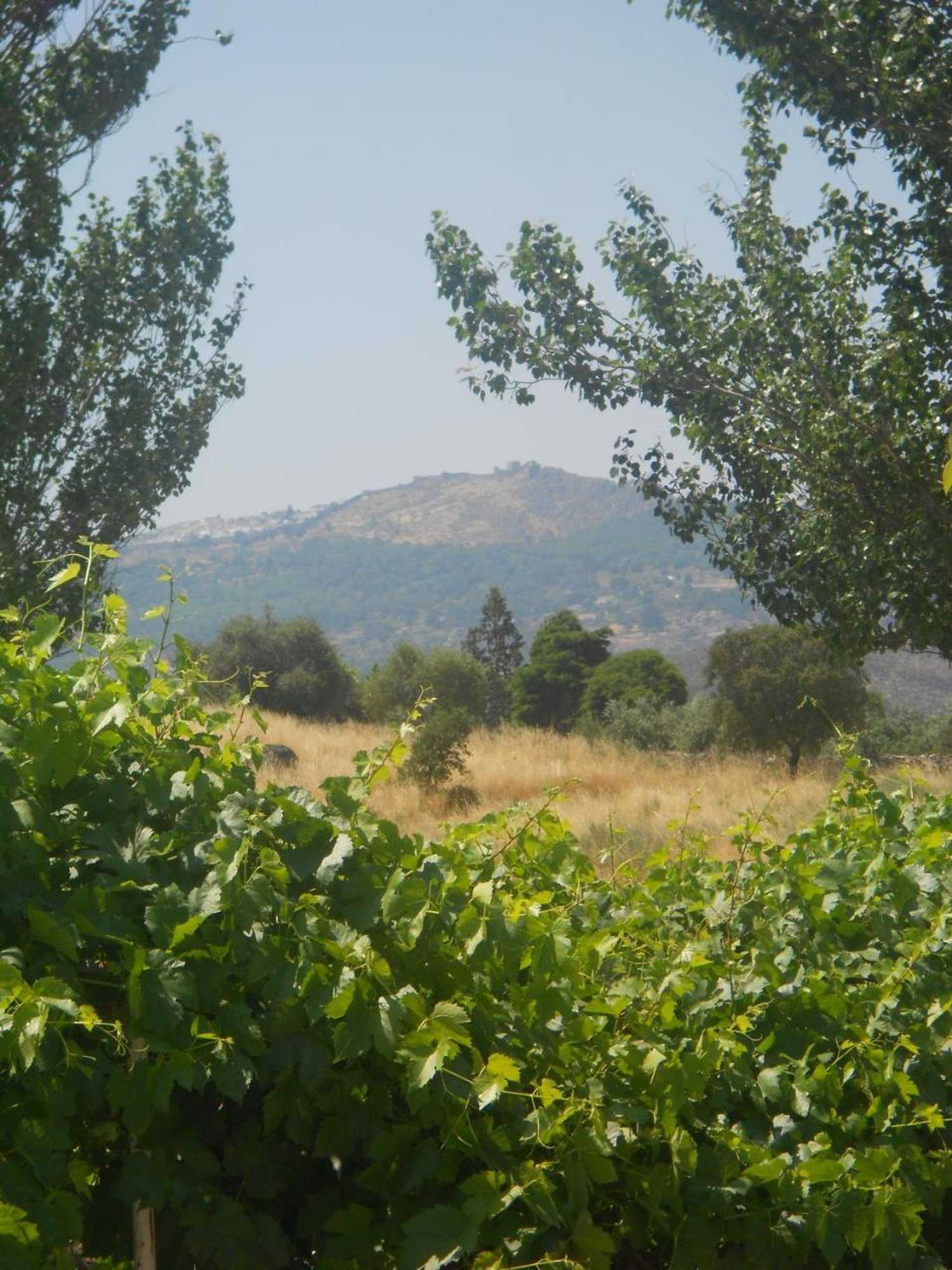 Gift card for Tapada da Beirã