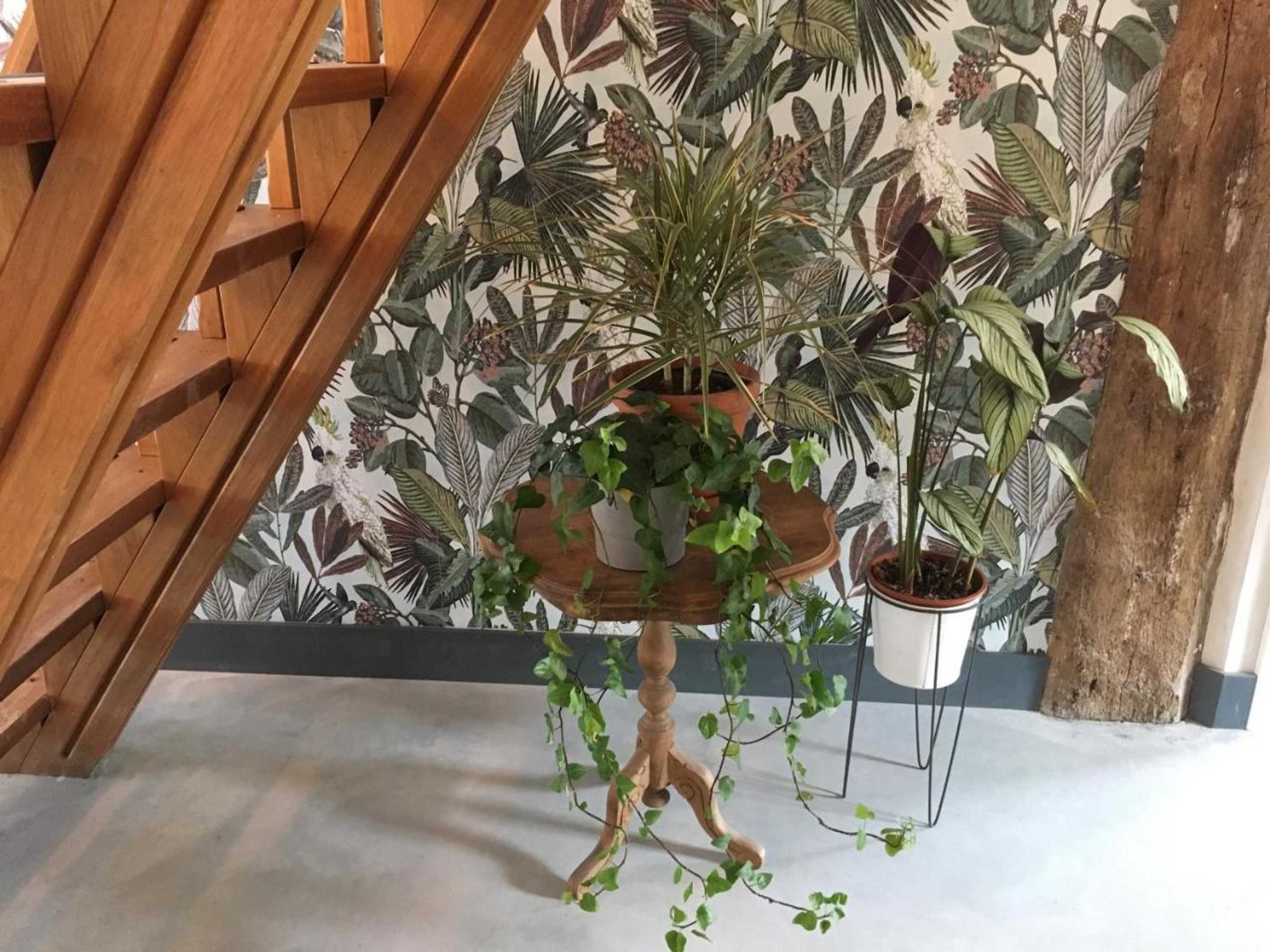 Gift card for B&b Bij Bedaf