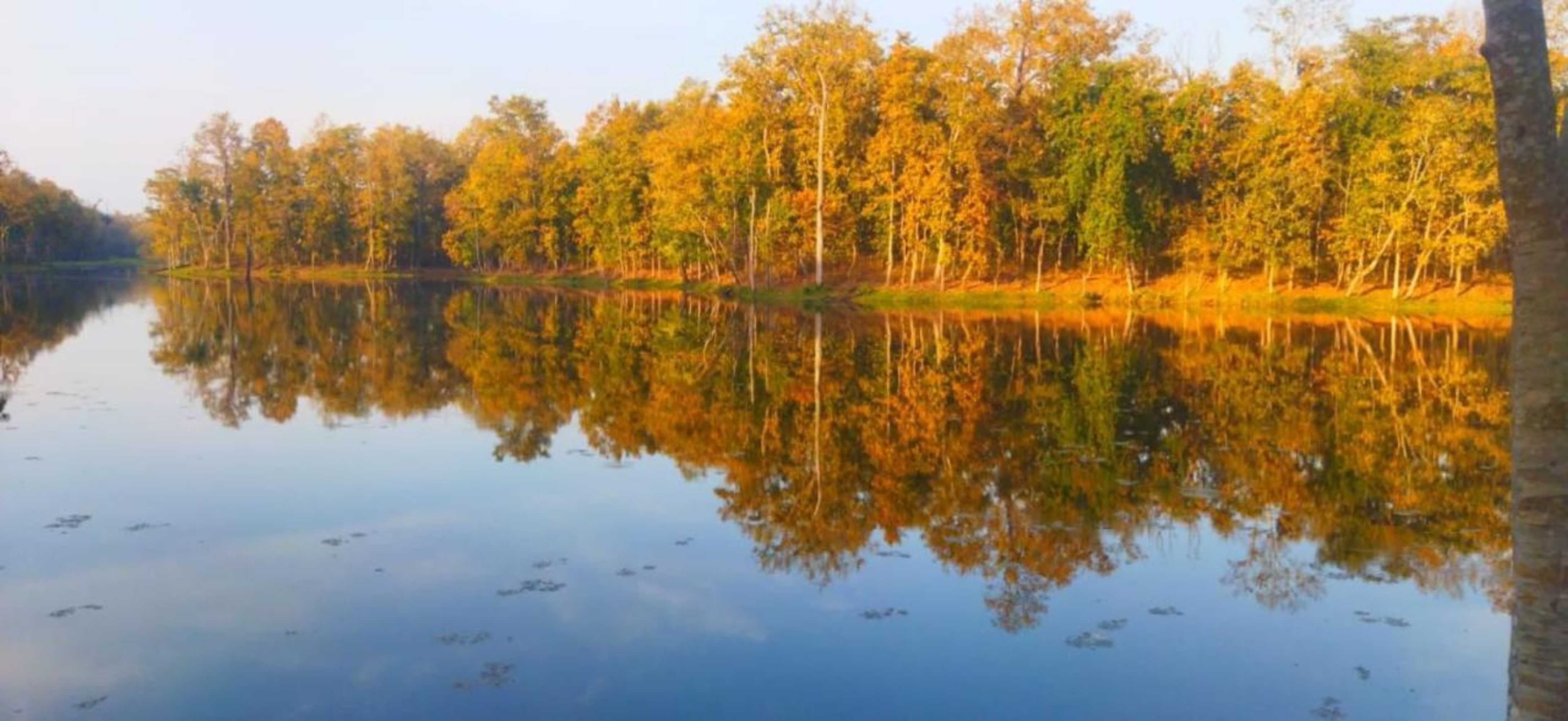 Gift card for Sauraha Holiday Home Riverside