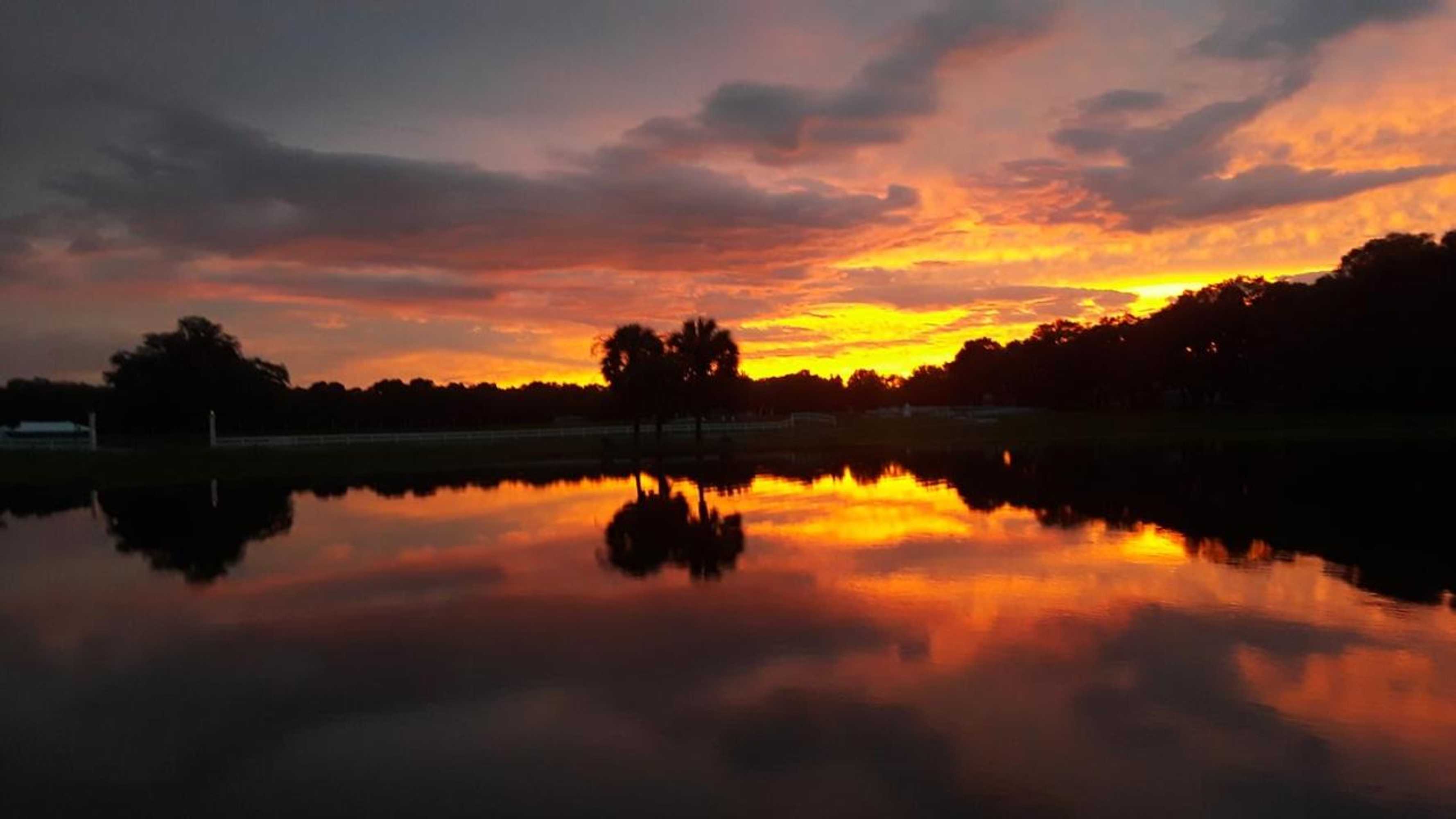 Gift card for The Grand Oaks Resort