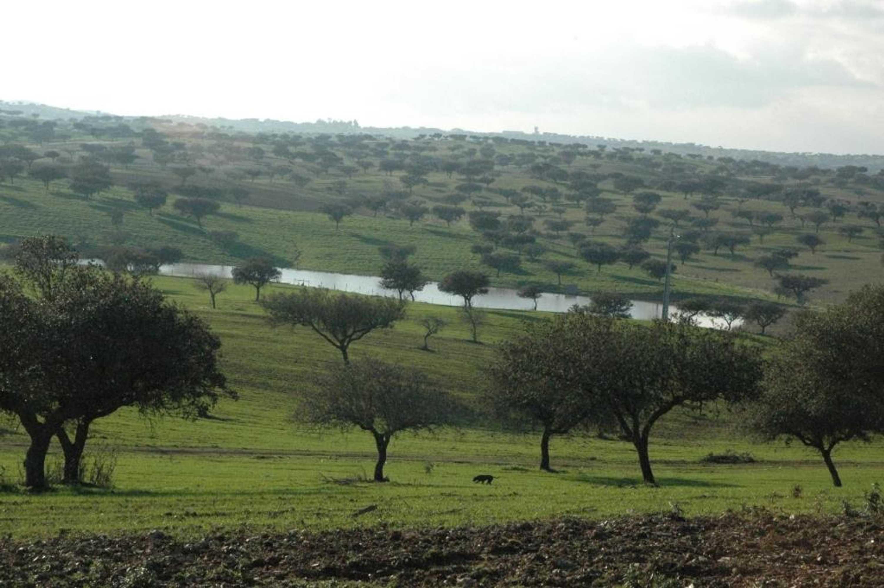 Gift card for Herdade Do Monte Outeiro