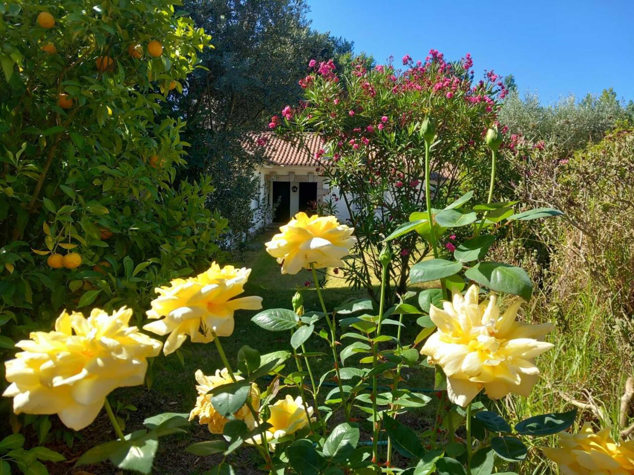 Gift card for Casas Do Zagao