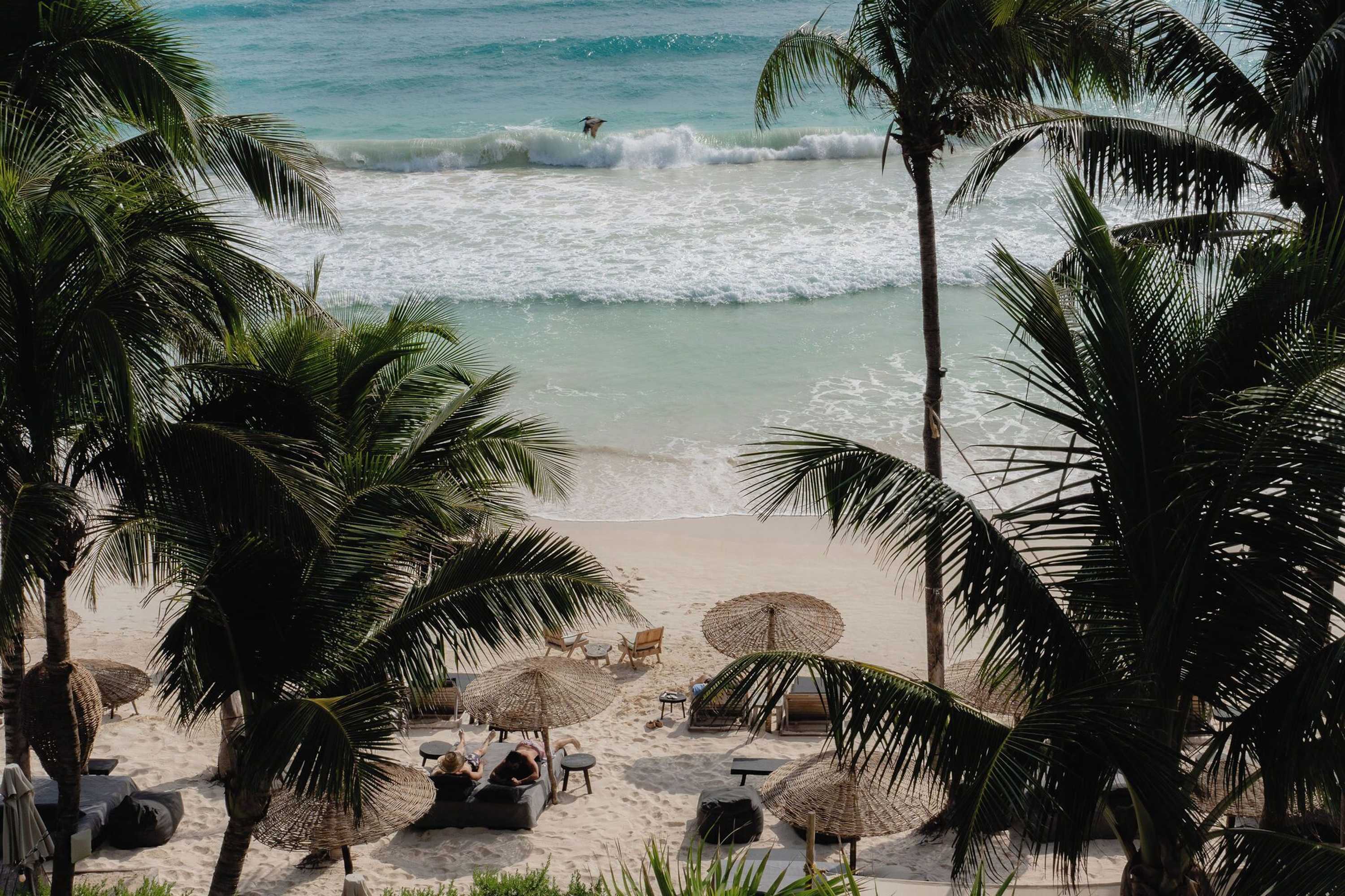 Gift card for Chiringuito Tulum Gift card for Chiringuito Tulum