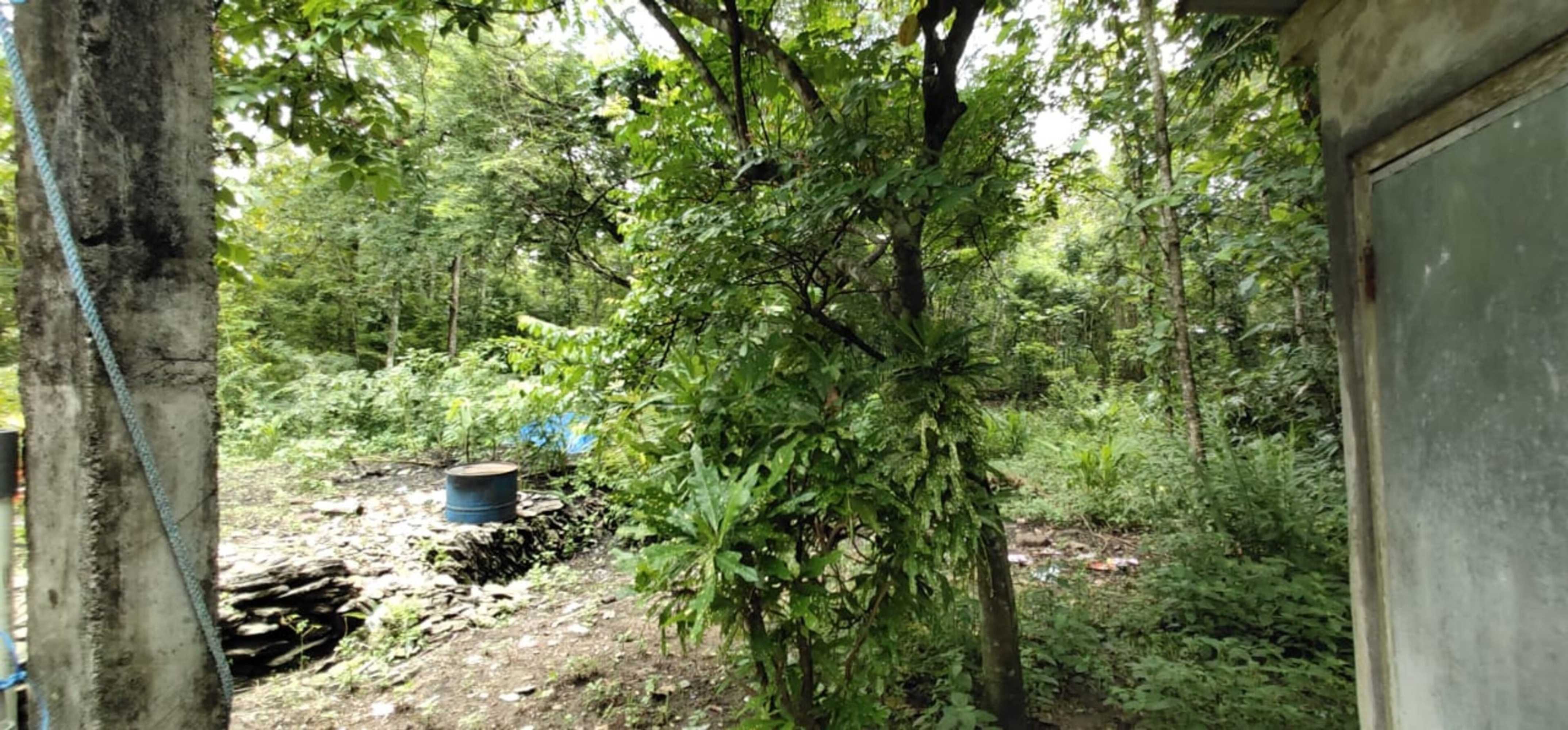 Gift card for Homestay Dulngori Syariah