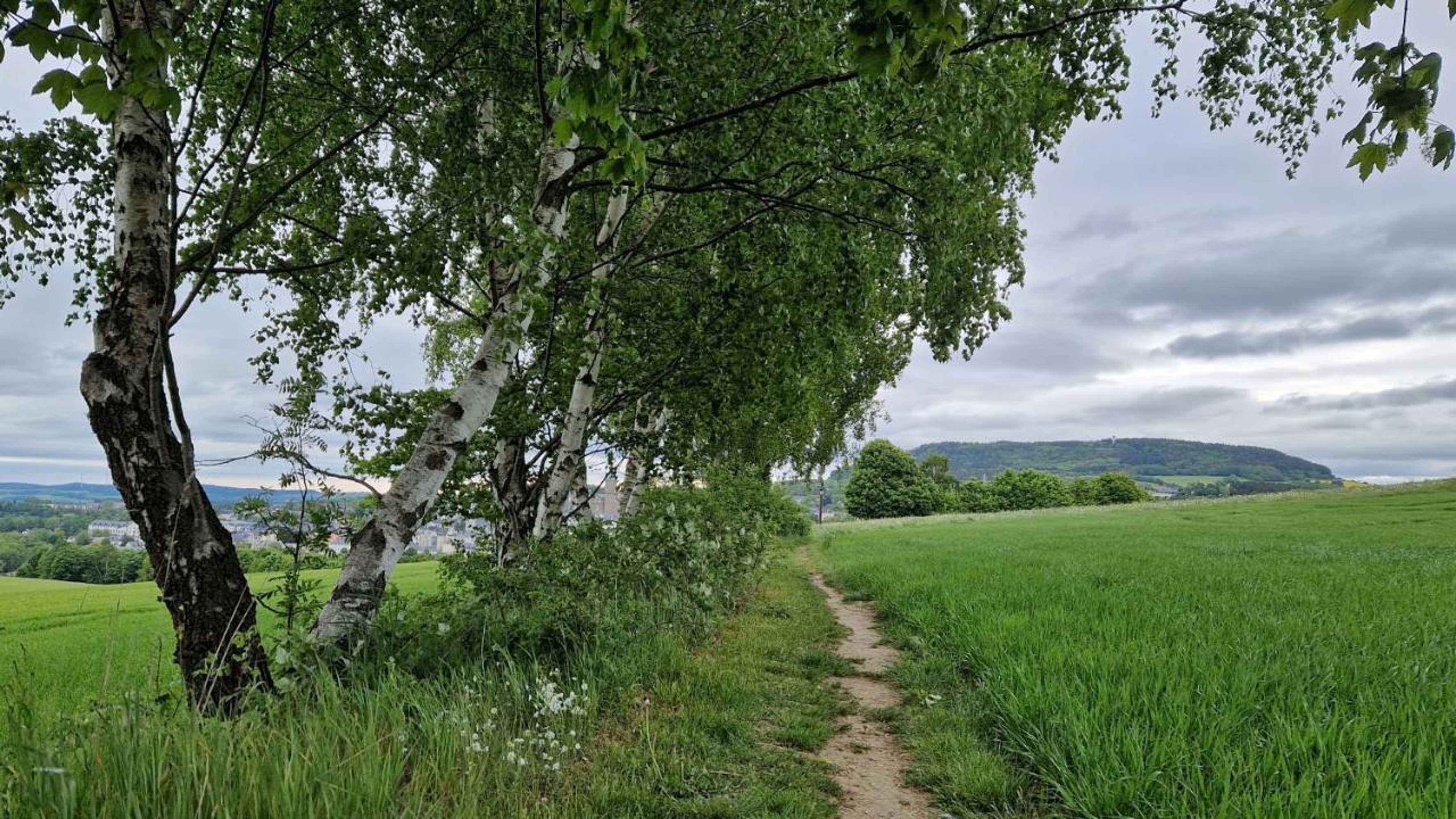 Gift card for Fewo an Der Teufelskanzel