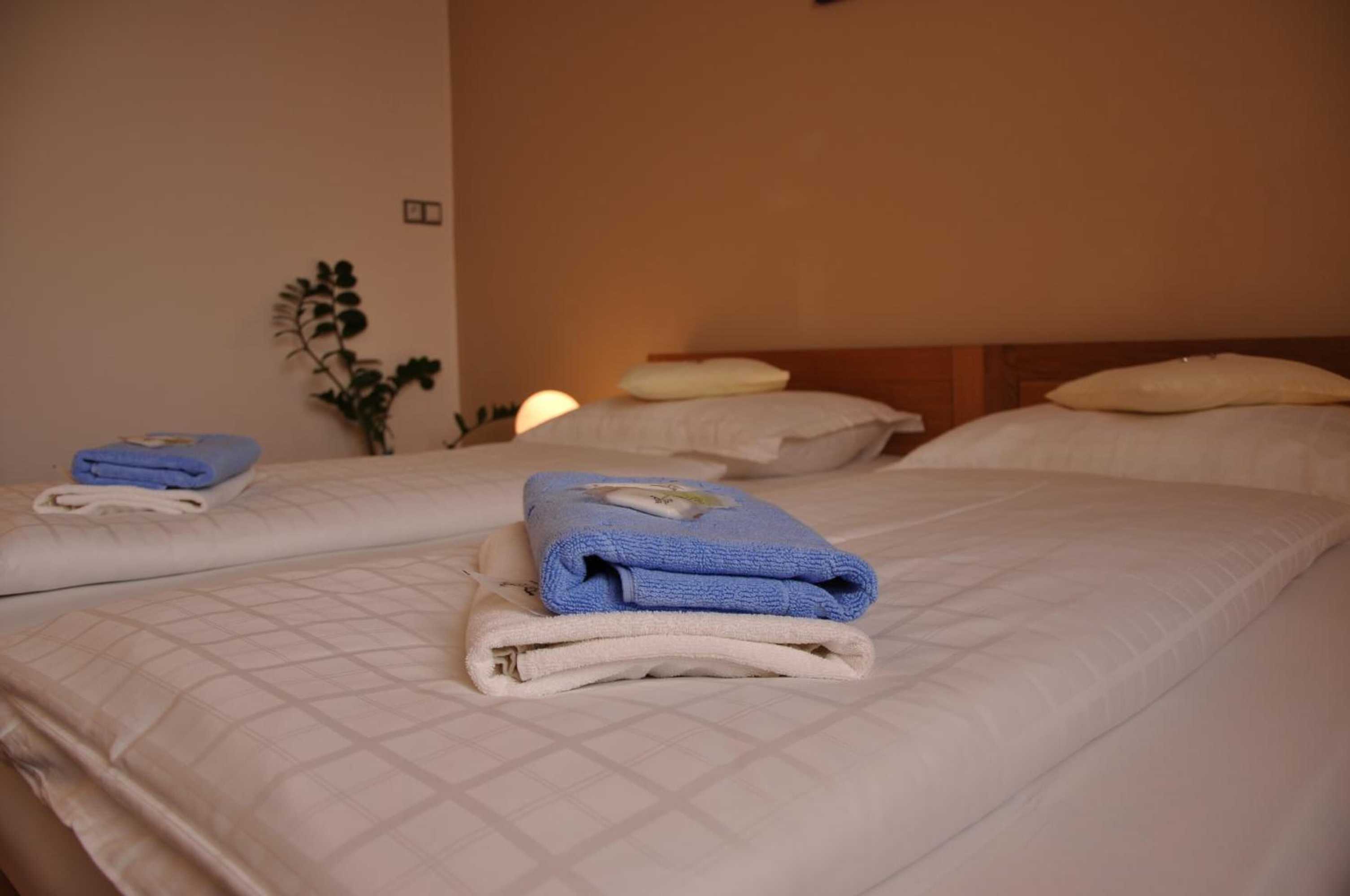 Gift card for Hotel Lions Plzen Gift card for Hotel Lions Plzen