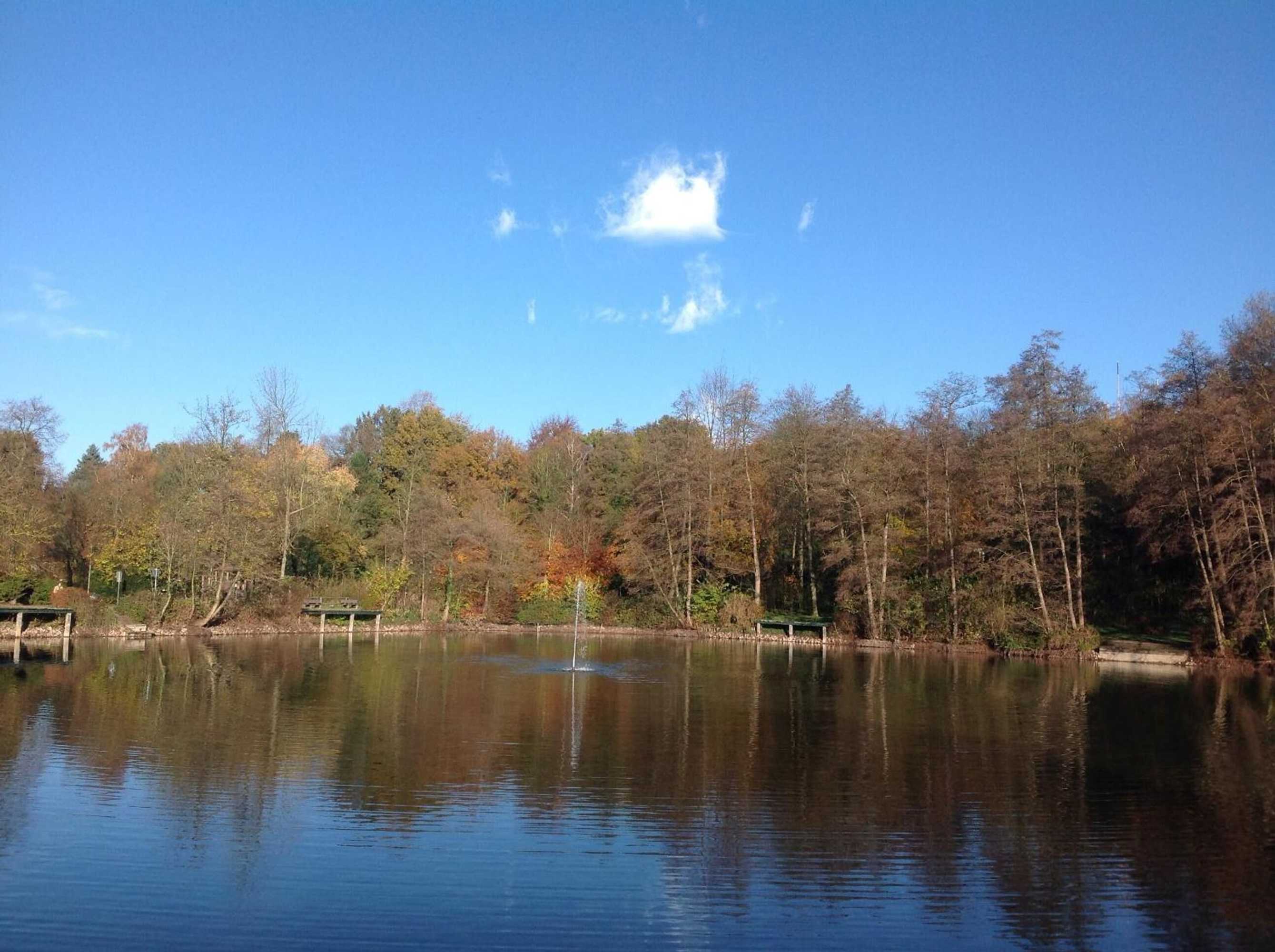 Gift card for Eurode Live