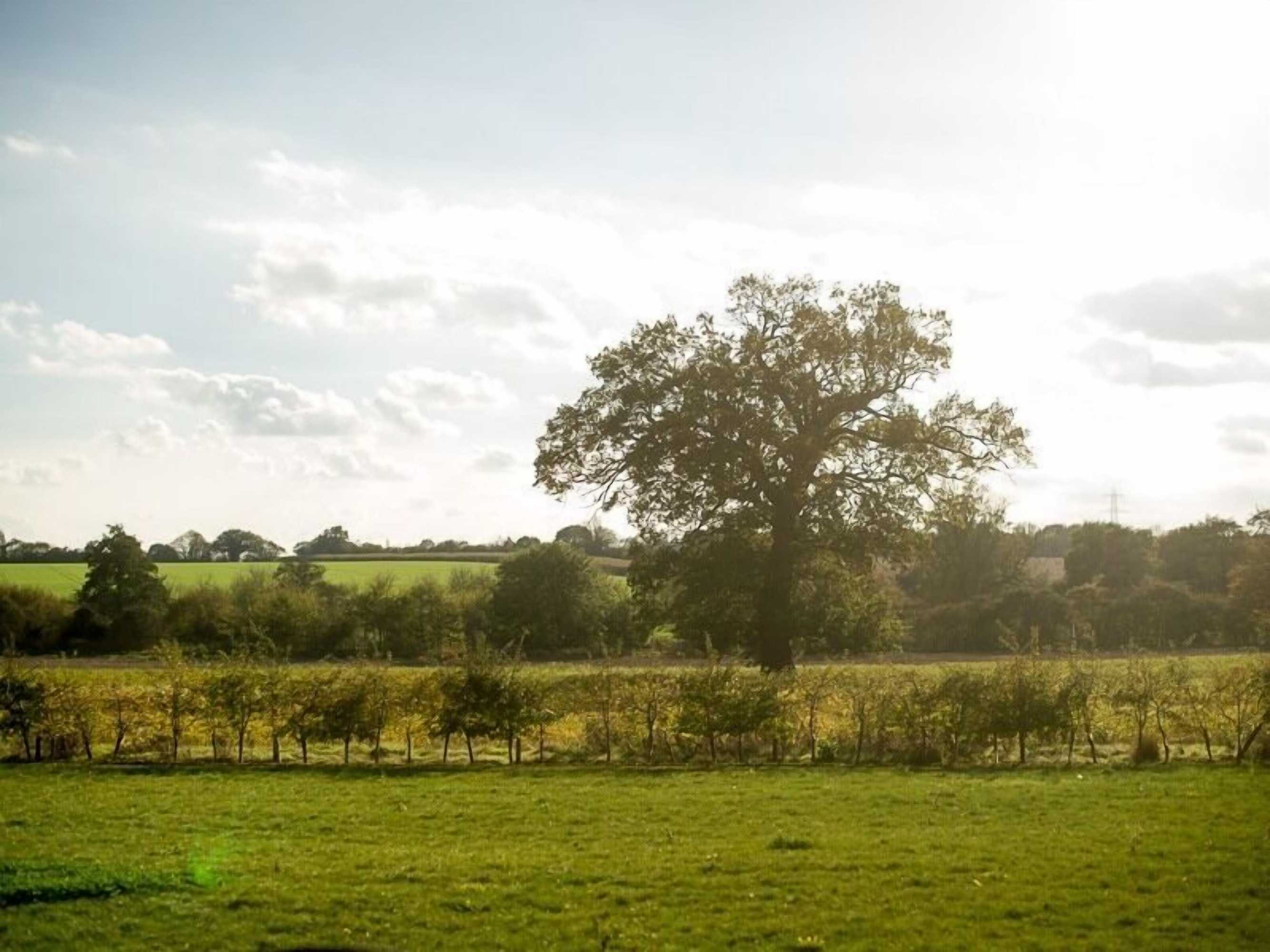 Gift card for The White Horse Inn