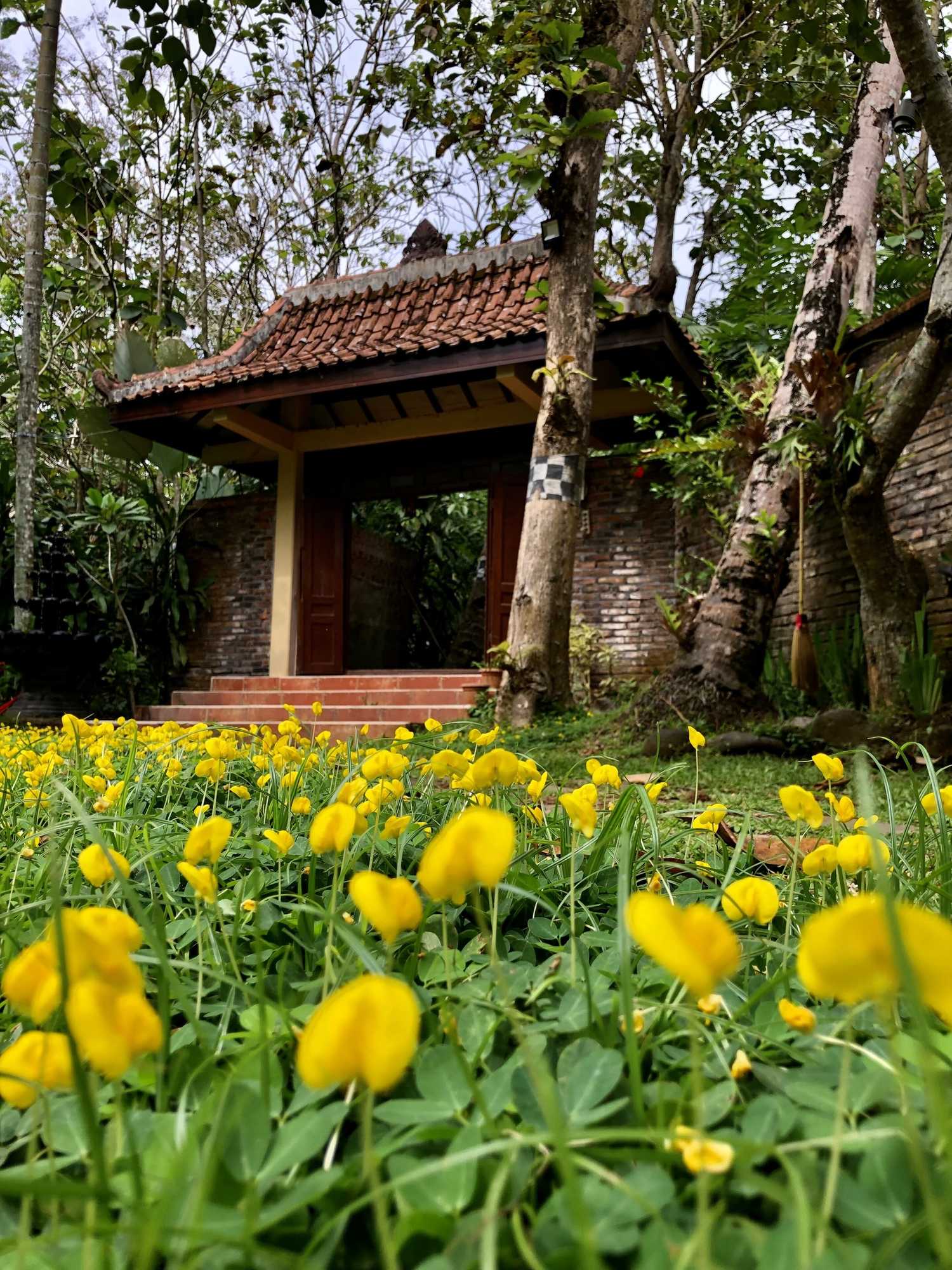 Gift card for Rumah Boedi Private Residence Villa Gift card for Rumah Boedi Private Residence Villa