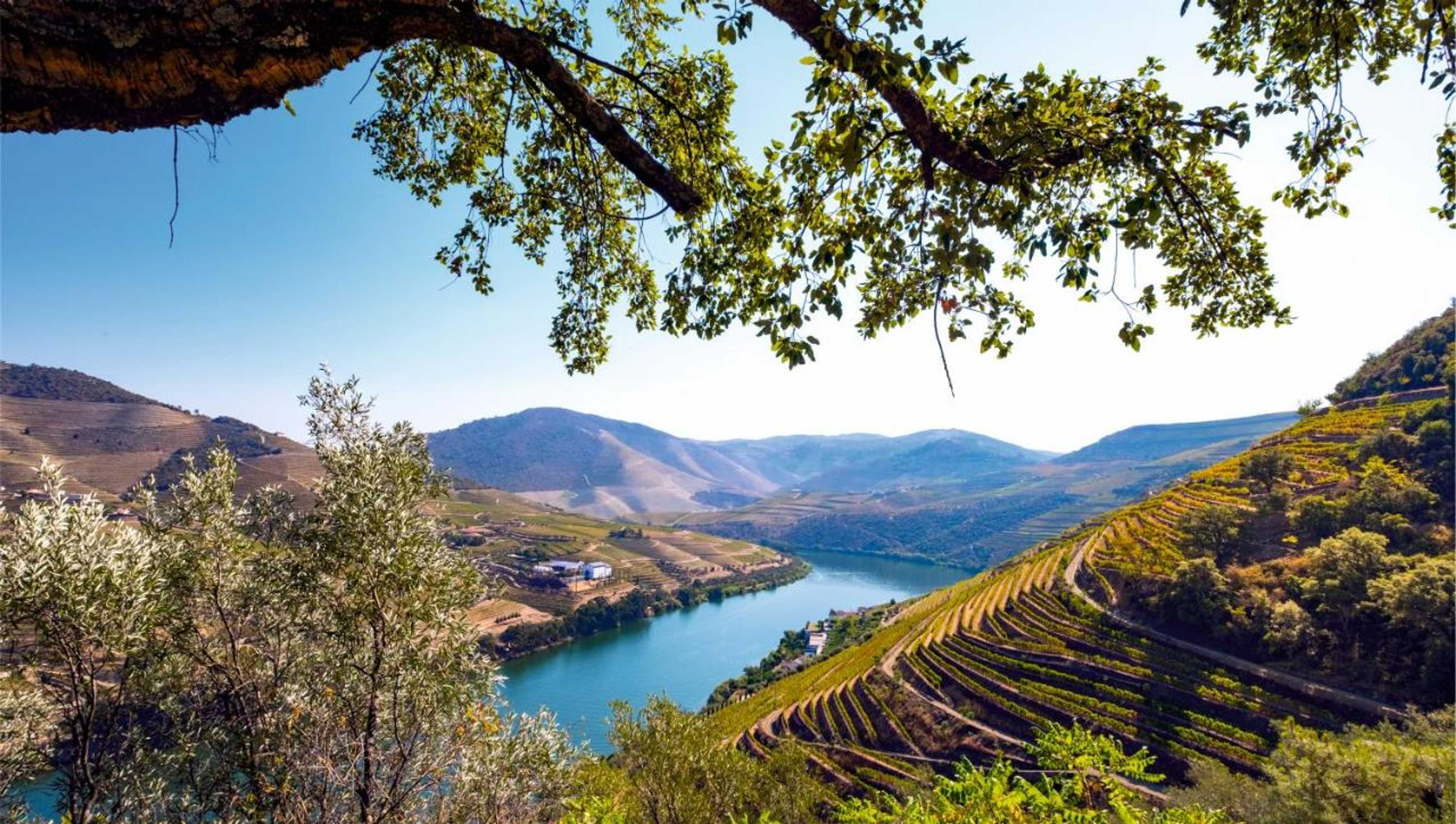 Gift card for Hotel Vale Do Côa