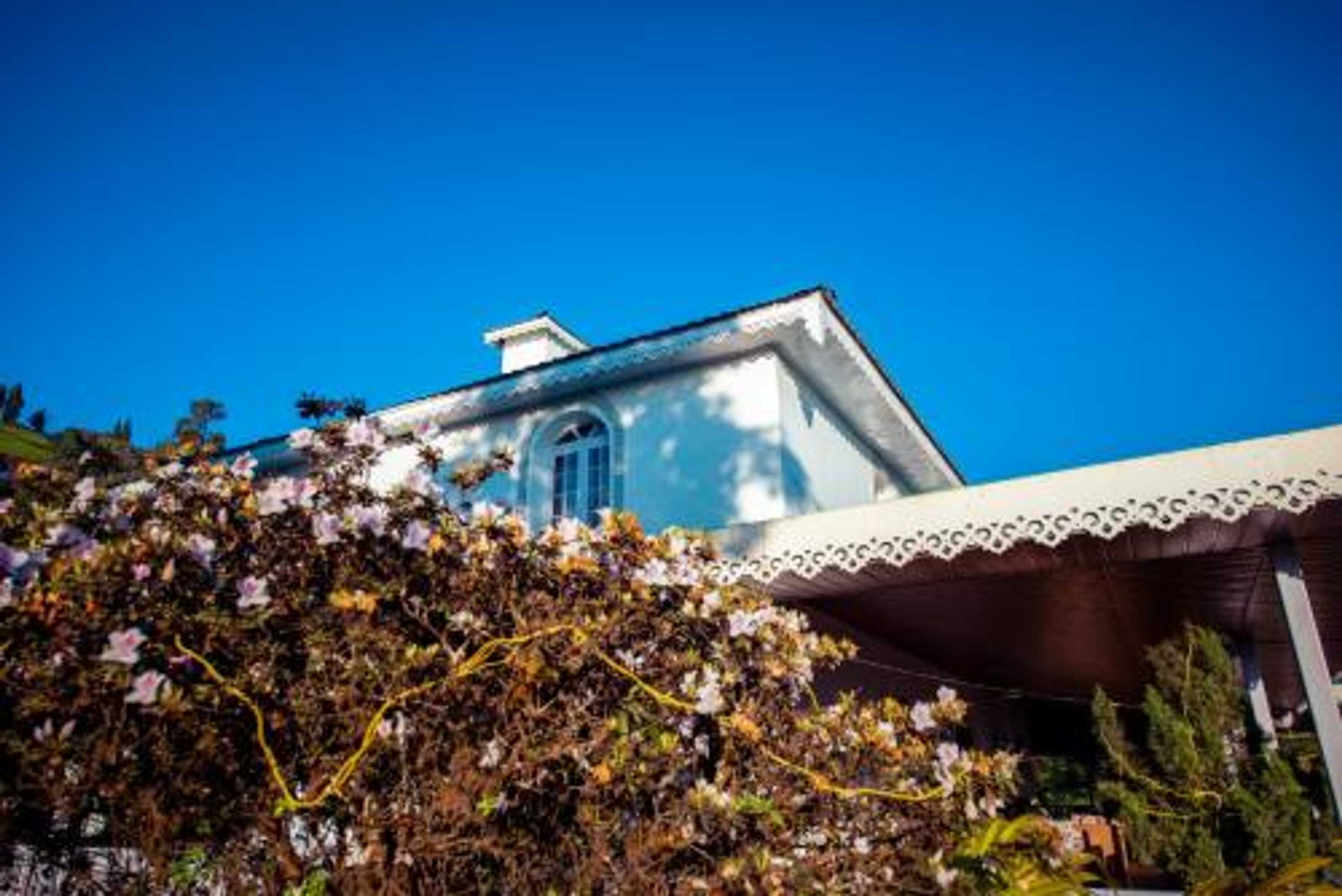 Gift card for Eco Adventure Resorts Temi Bungalow South Sikkim Gift card for Eco Adventure Resorts Temi Bungalow South Sikkim