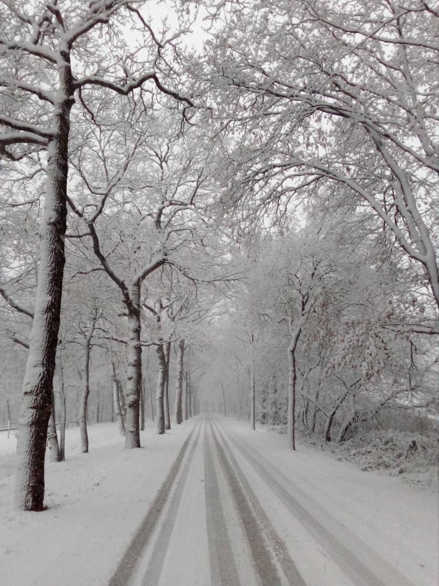 Gift card for Villa Berk en Heide