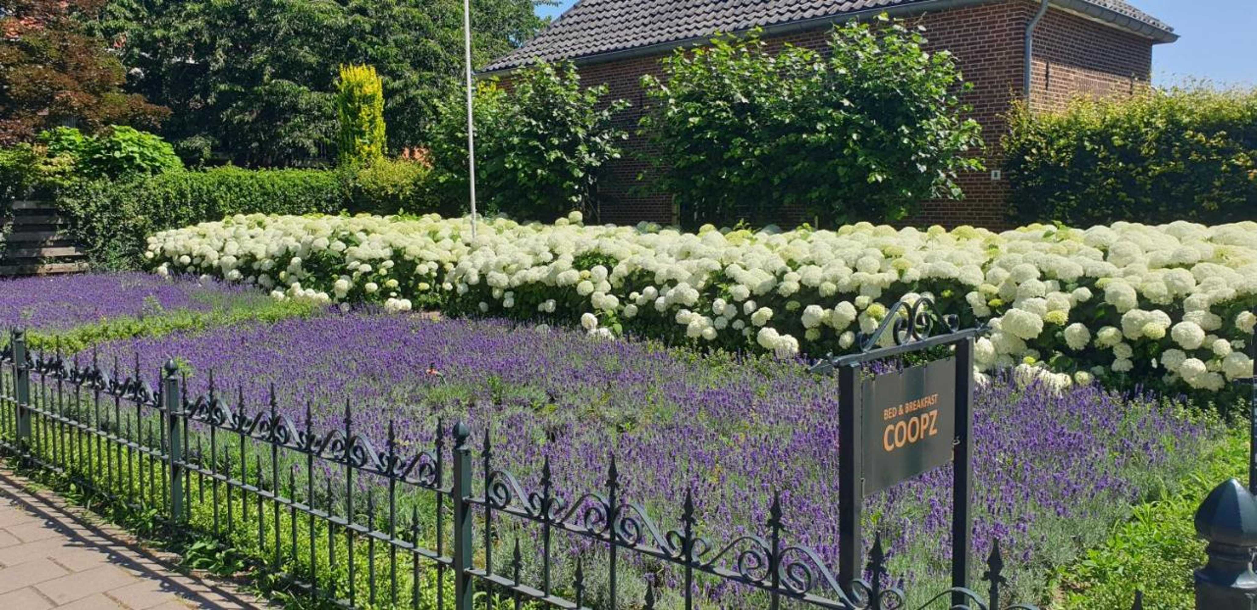 Gift card for Bed & Breakfast Coopz