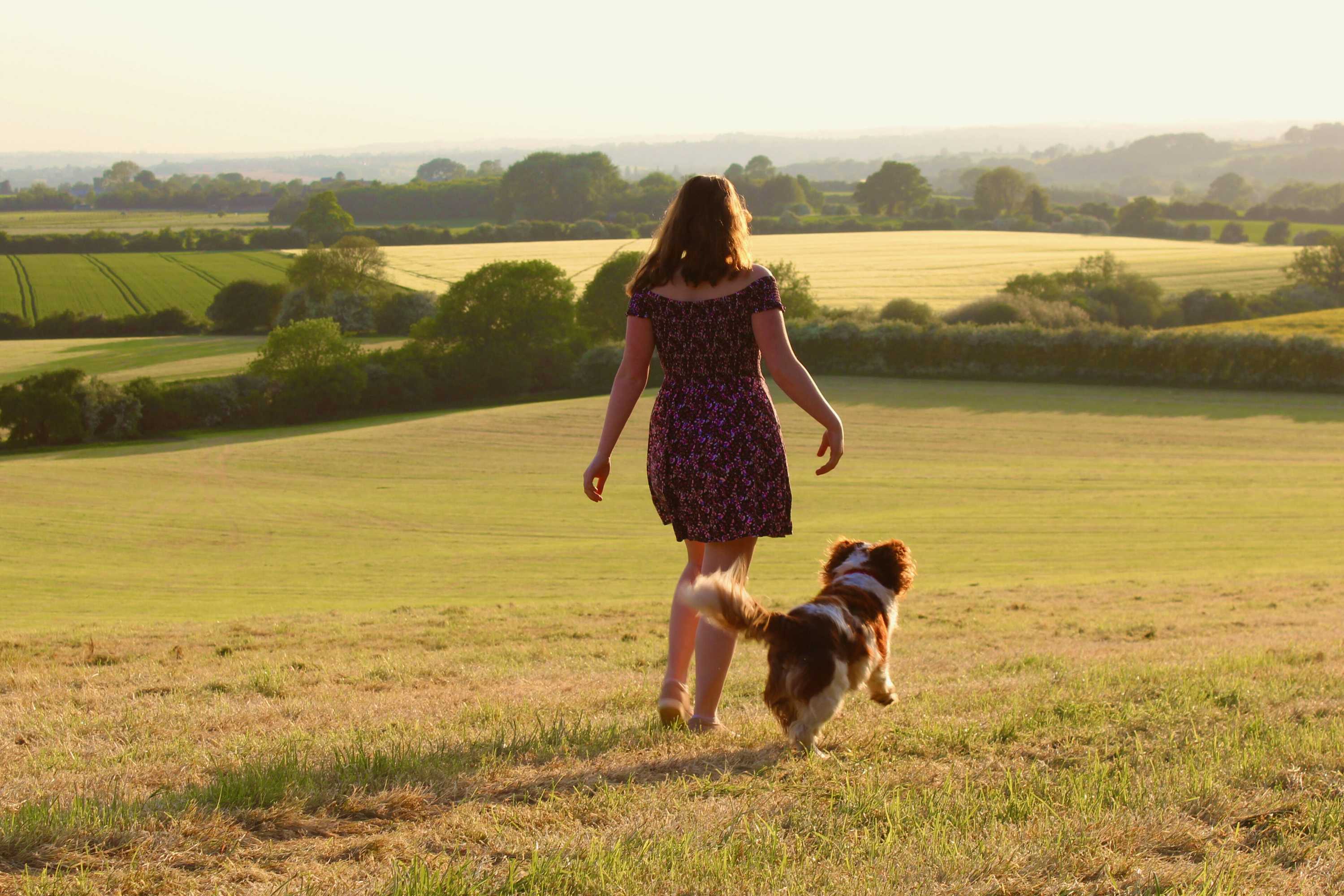 Gift card for Garden Barn