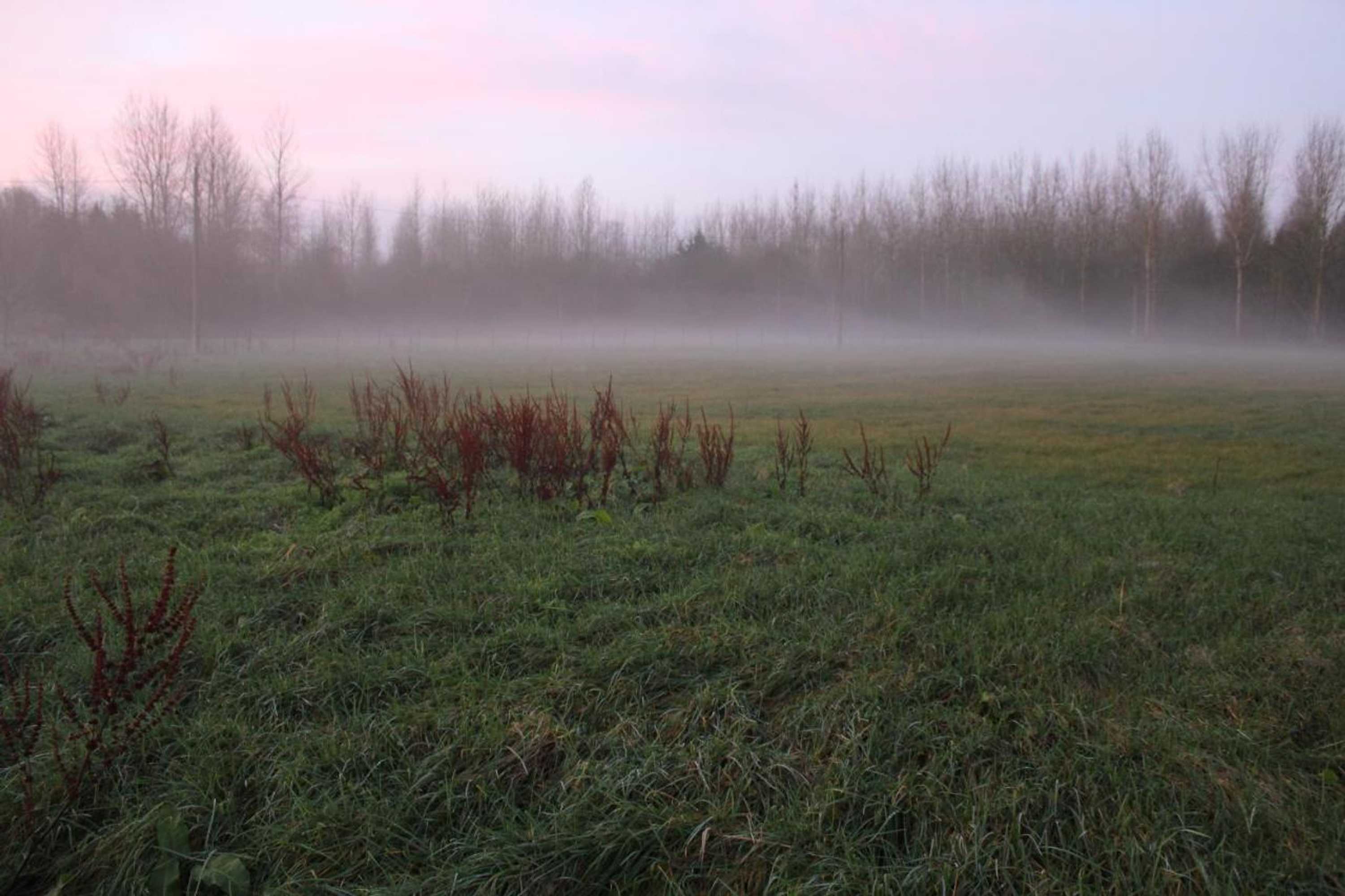 Gift card for Leybeeckhof Bed And Breakfast