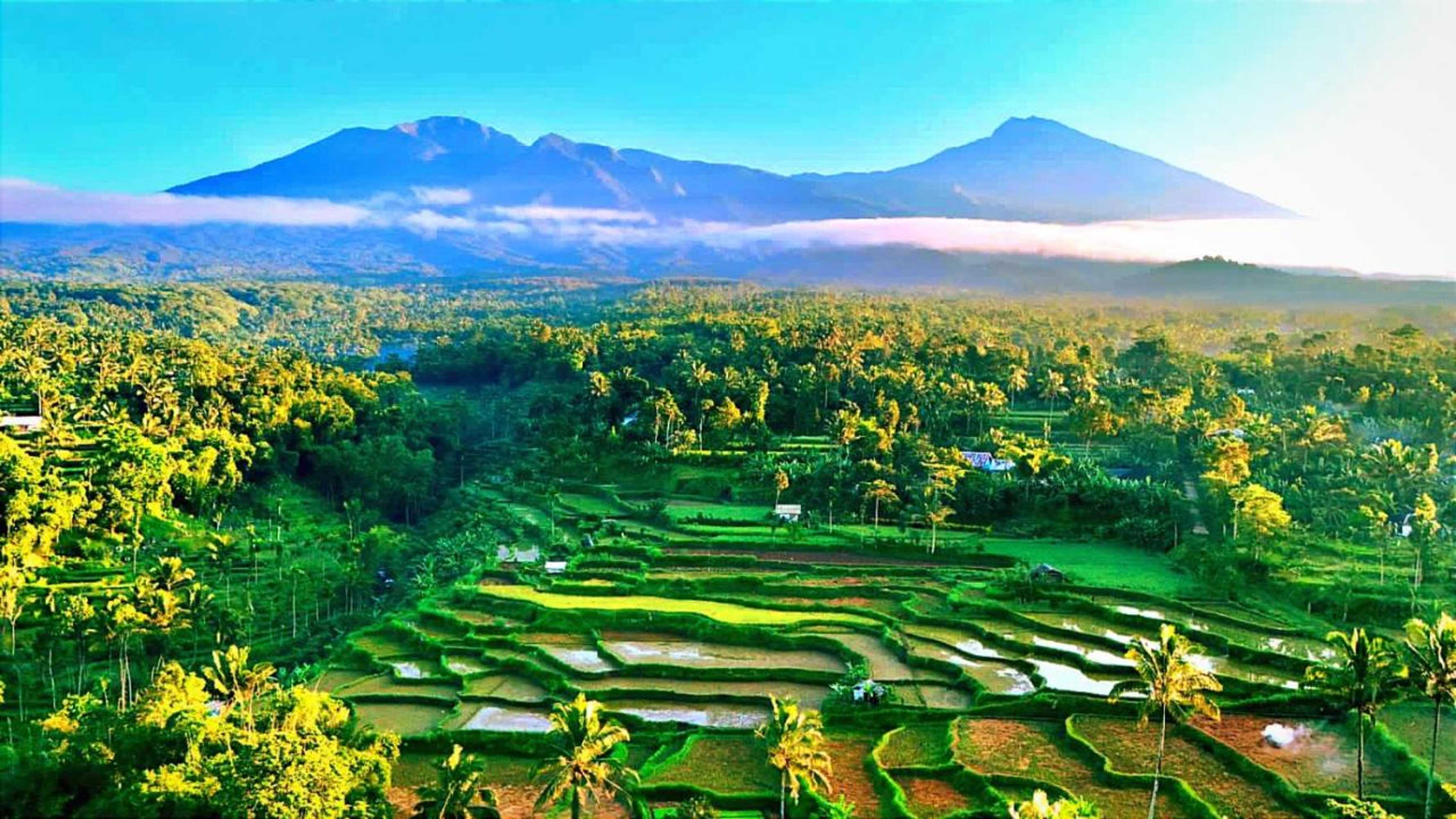 Gift card for Ariel Bungalow Tetebatu