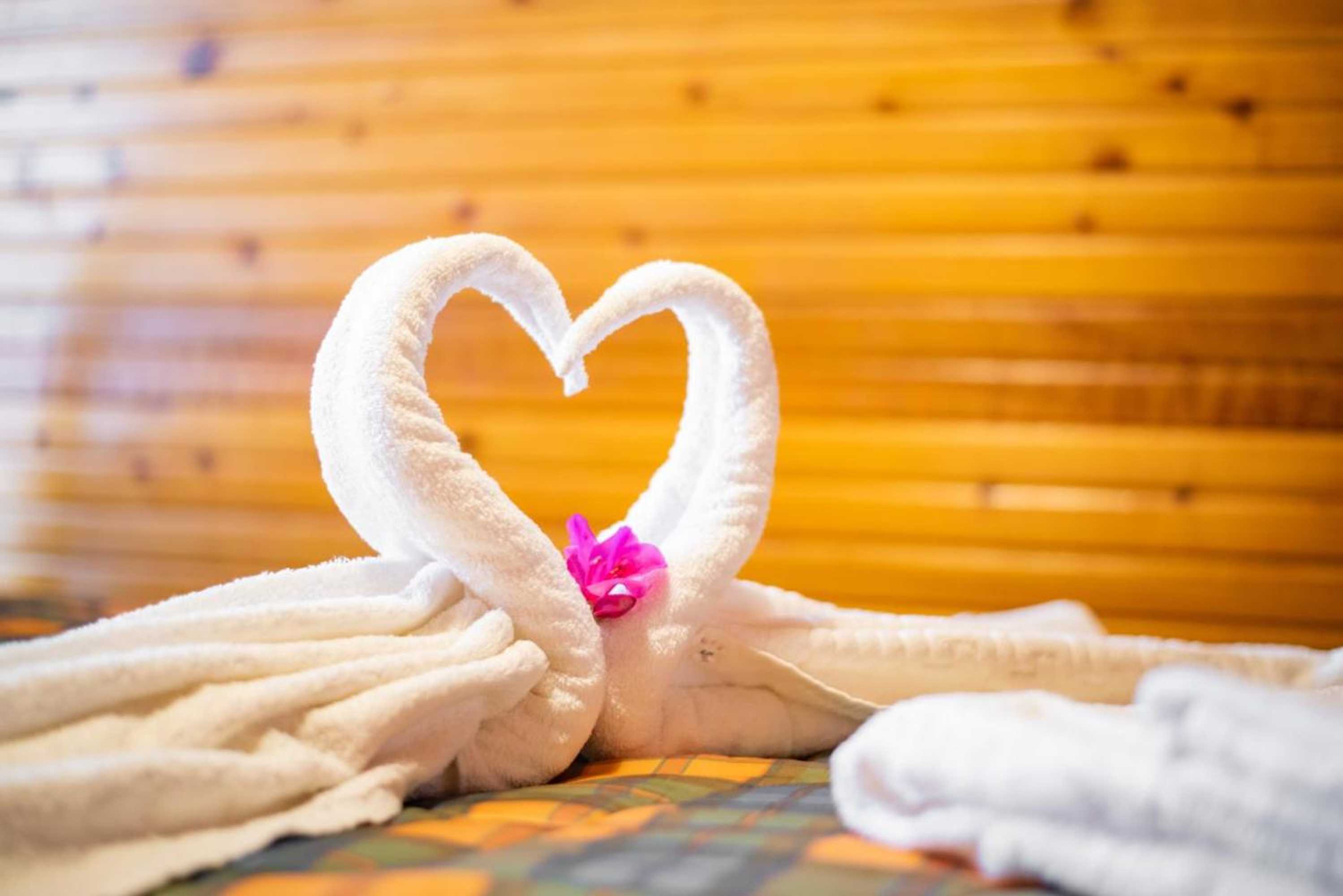 Gift card for Casa Inti / Inti House Furnas