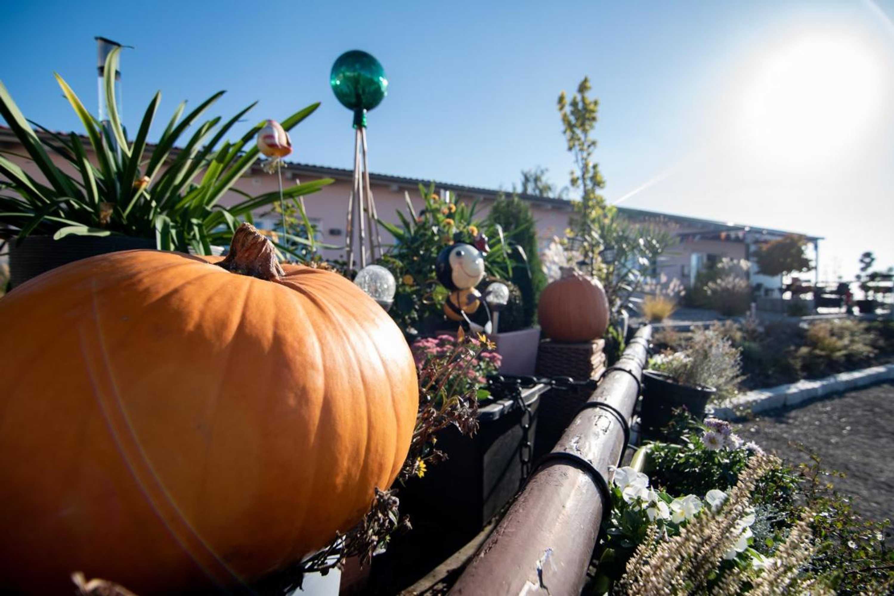 Gift card for L-Appartements