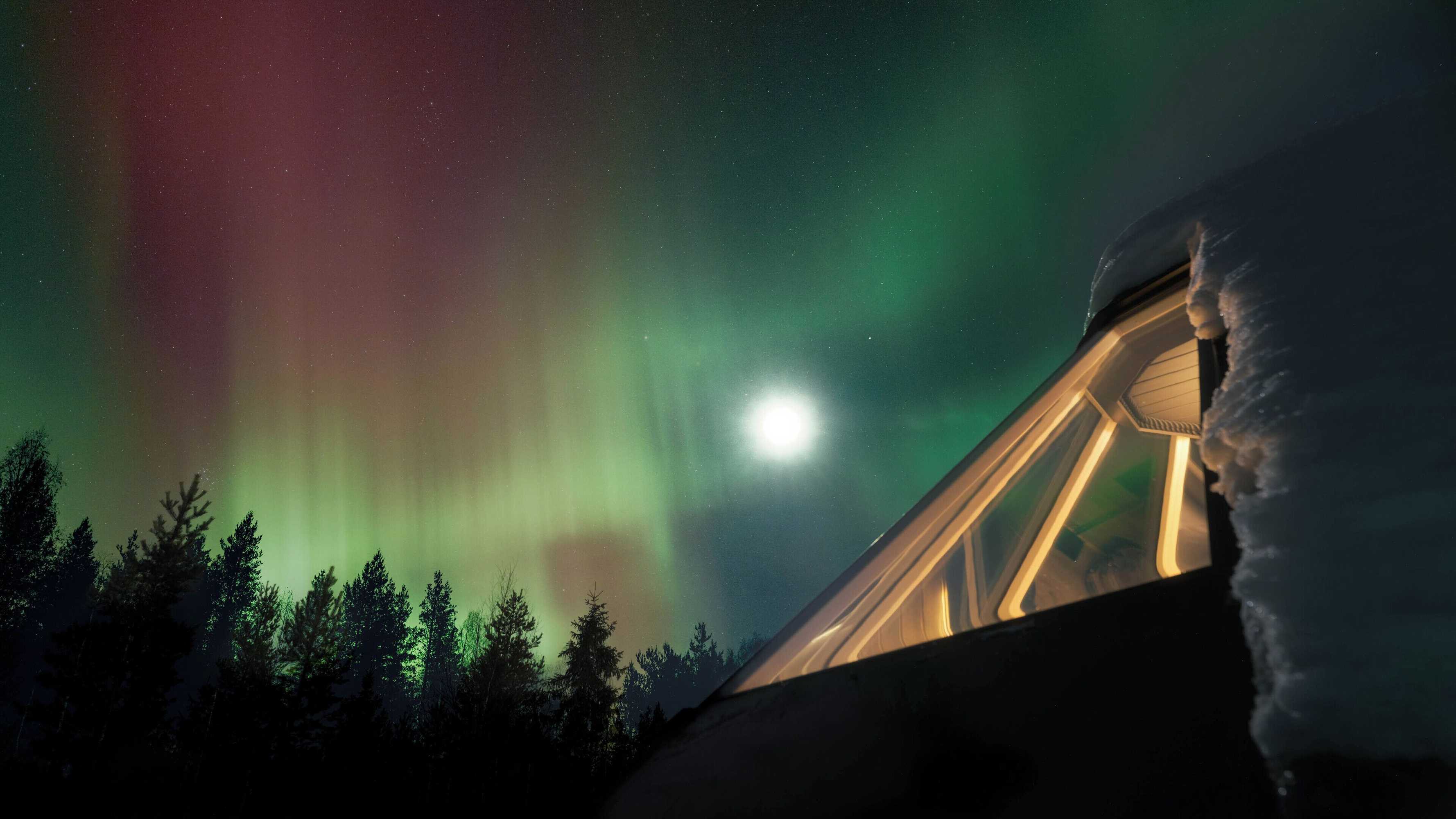 Gift card for Reindeer Manor Levi Gift card for Reindeer Manor Levi