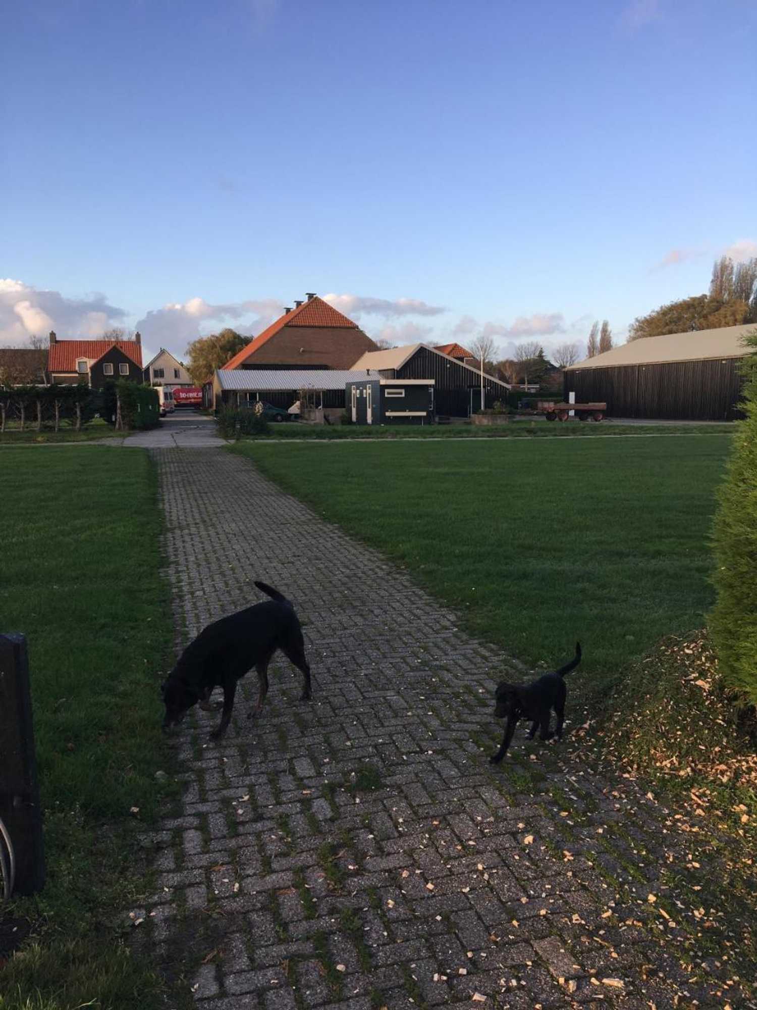 Gift card for Lodge 61