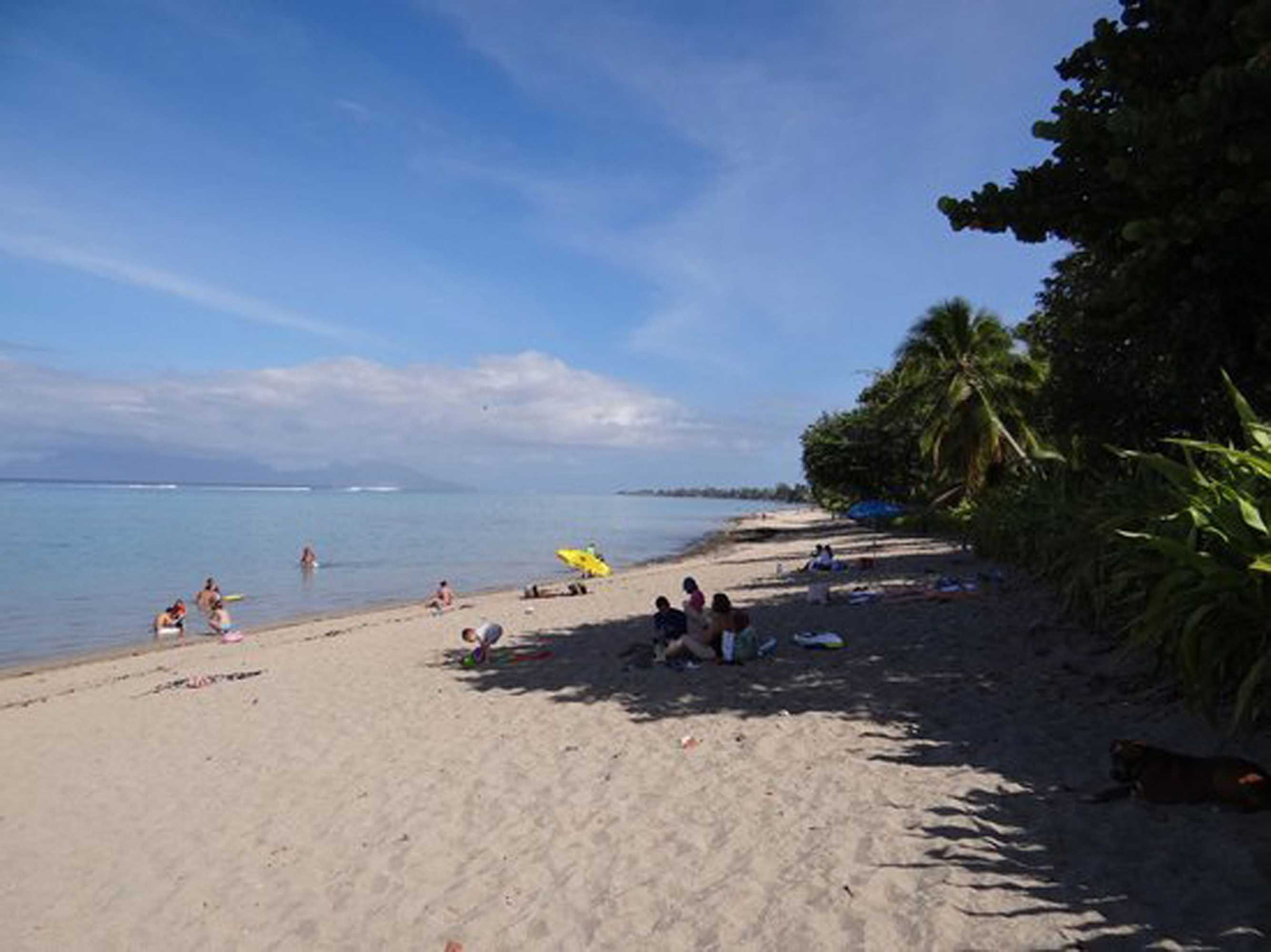 Gift card for Pension TE Miti - Plage-Beach 200m - Mahana Parc & Vaiava Beach Pk18 - B&b Chambres ou Dortoir Gift card for Pension TE Miti - Plage-Beach 200m - Mahana Parc & Vaiava Beach Pk18 - B&b Chambres ou Dortoir