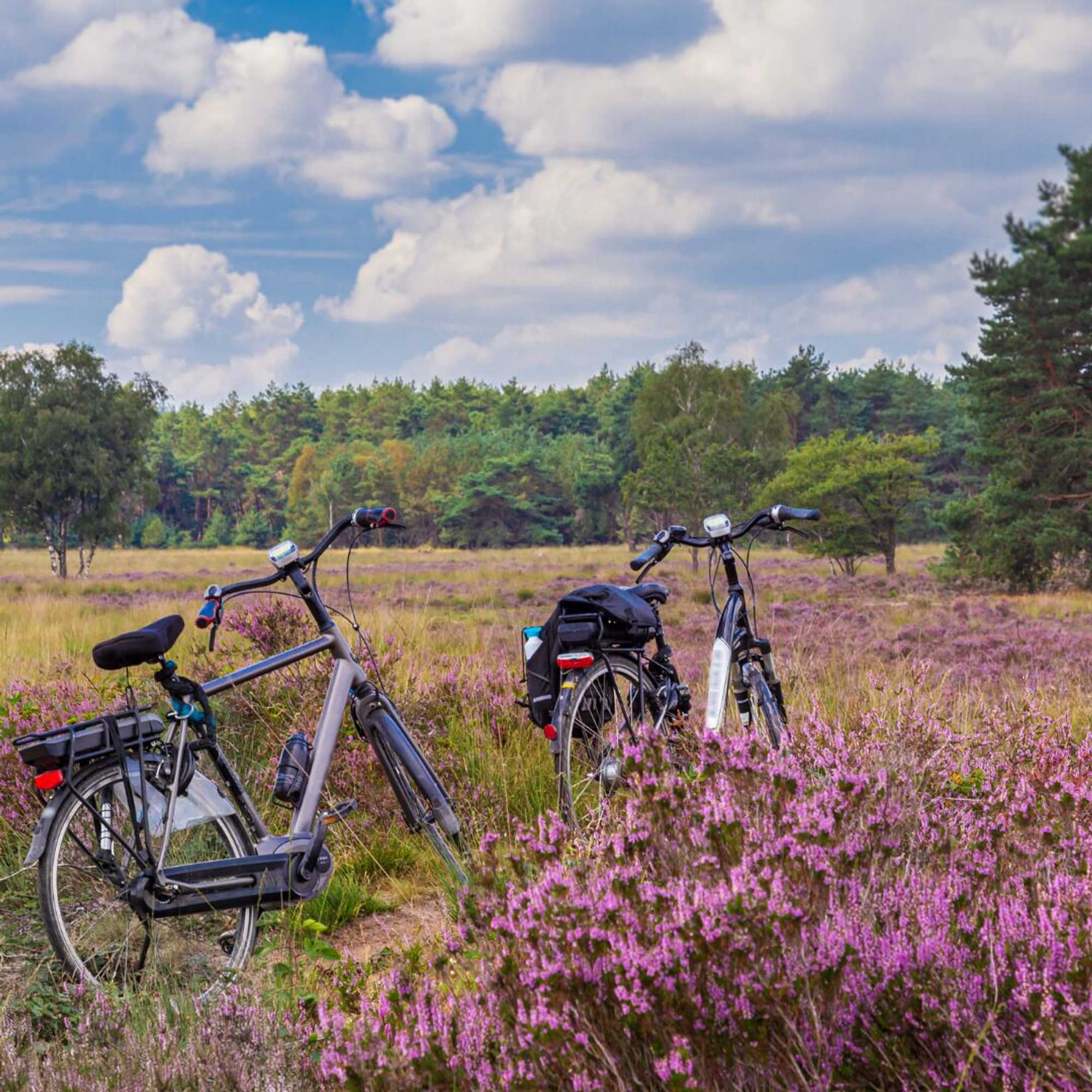 Gift card for Erfgoed Bossem