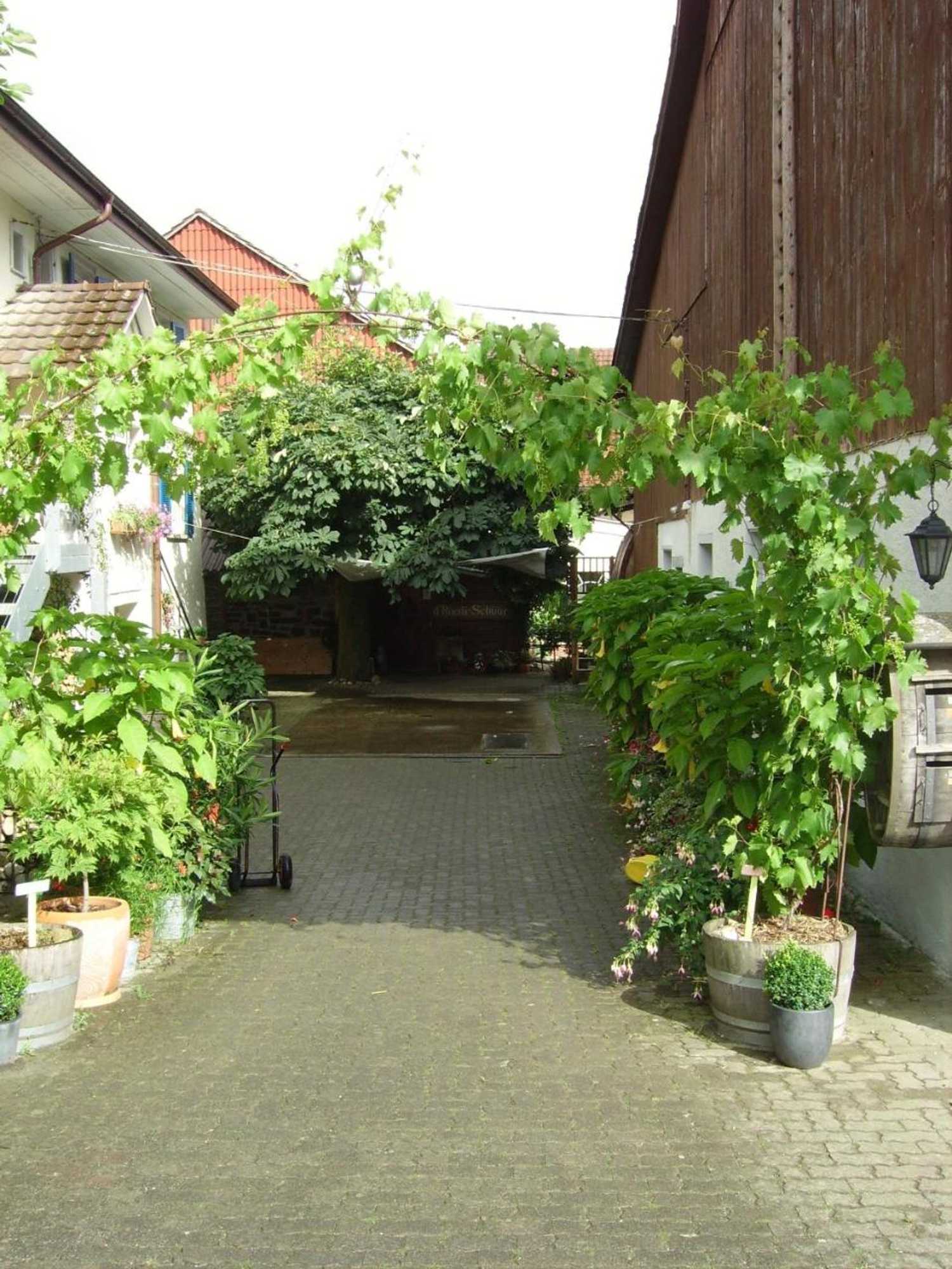 Gift card for Rüedi