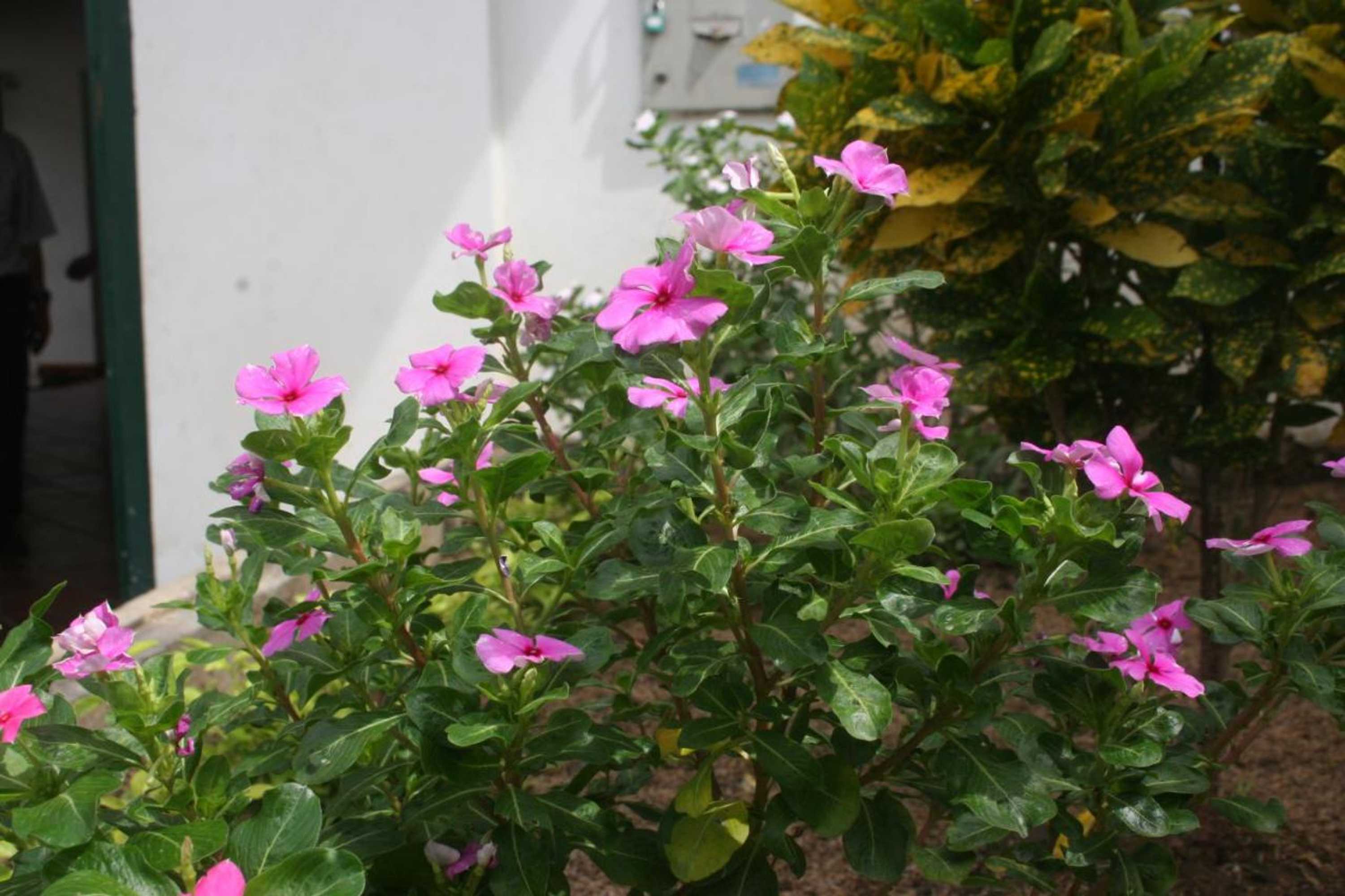 Gift card for Hotel Mirador de San Jorge