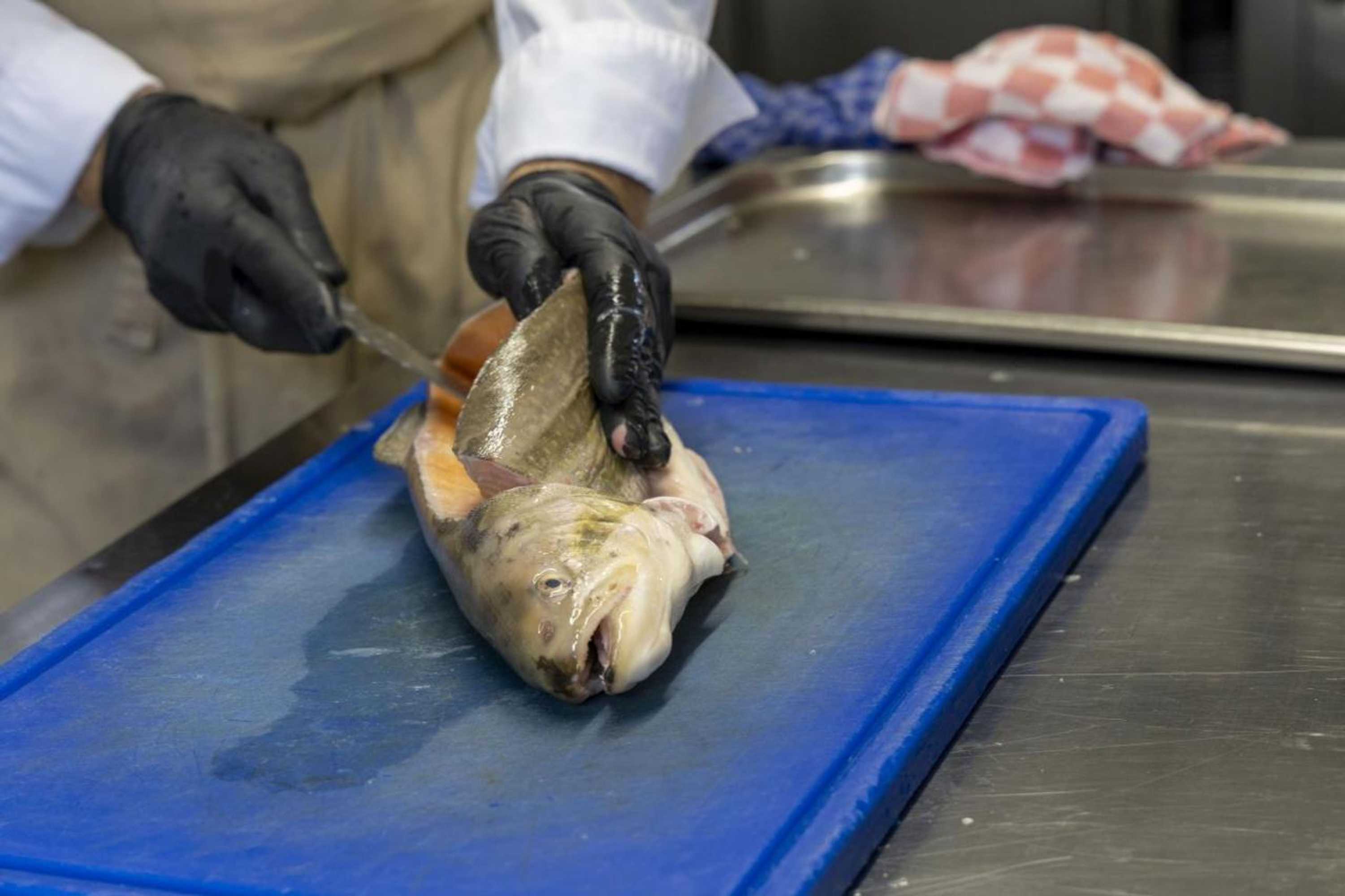 Gift card for Das Gasthaus am Reichswald