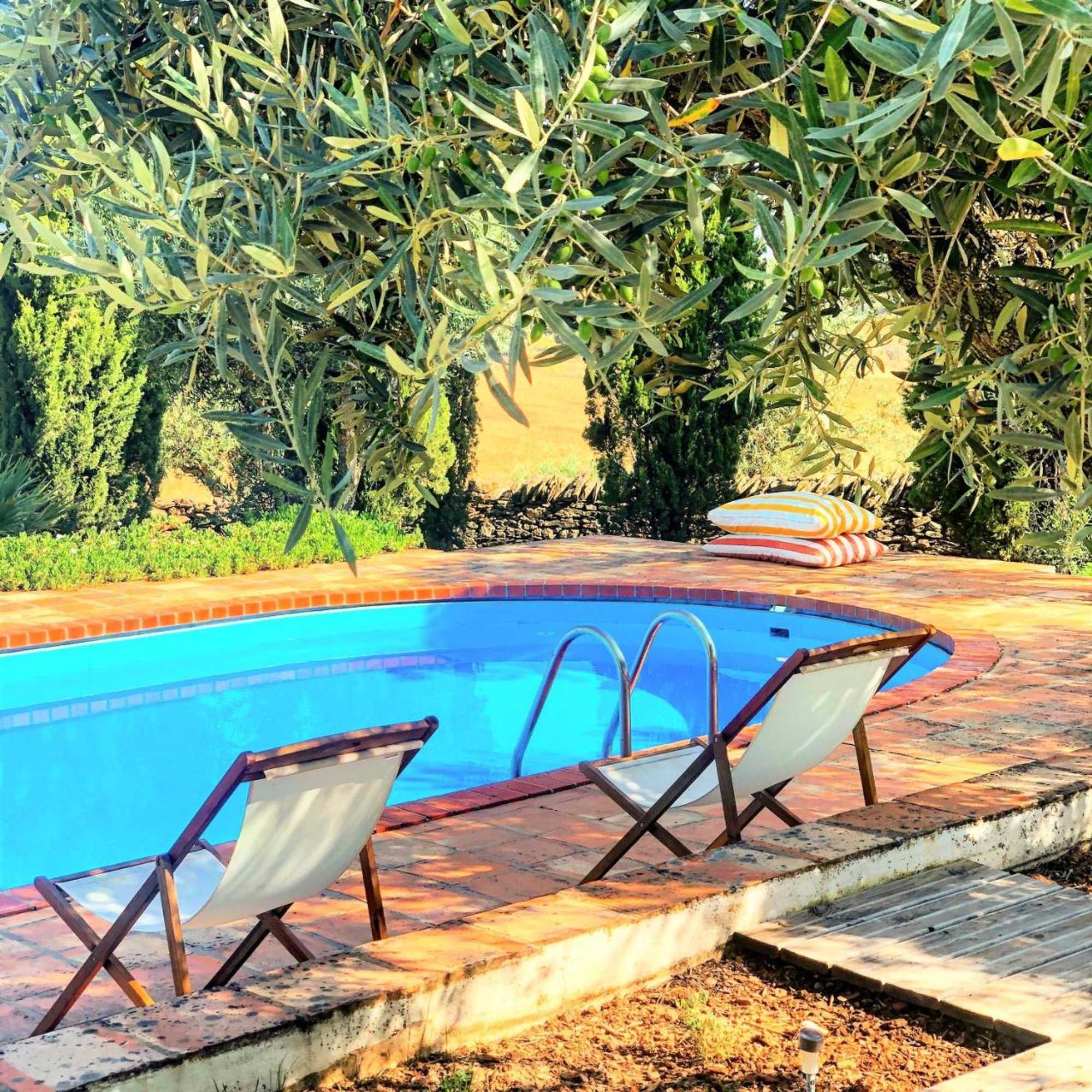 Gift card for Monte Papa Toucinho