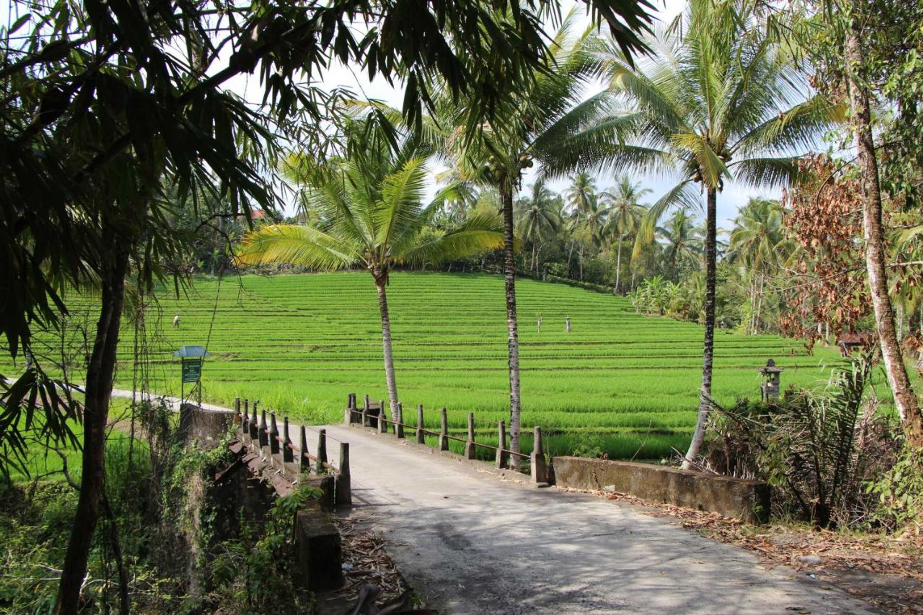 Gift card for Bali Lush