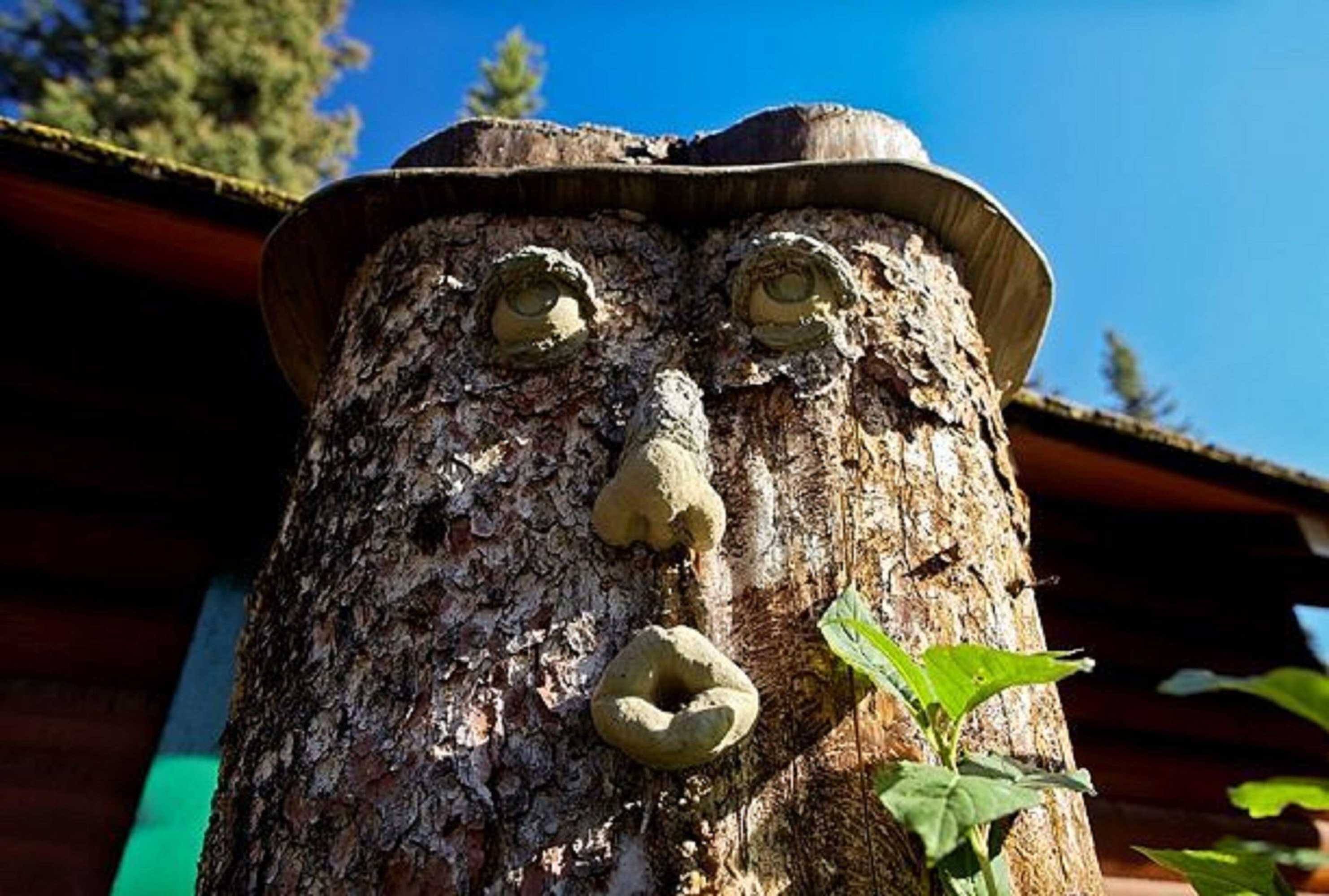 Gift card for Paradise Lodge And Bungalows