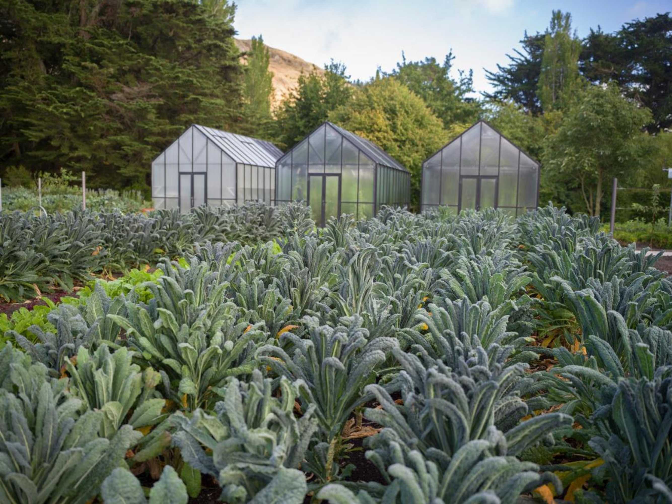 Gift card for Craggy Range Luxury Vineyard Retreat