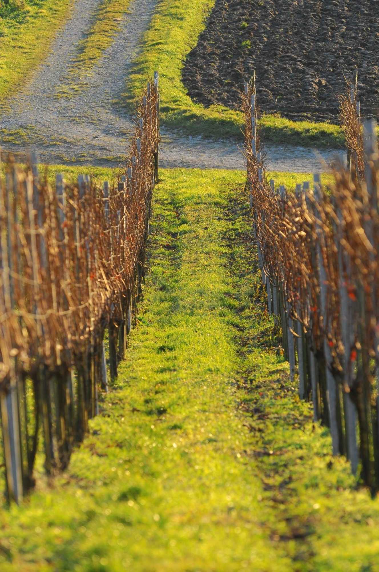 Gift card for Mein Inselglück