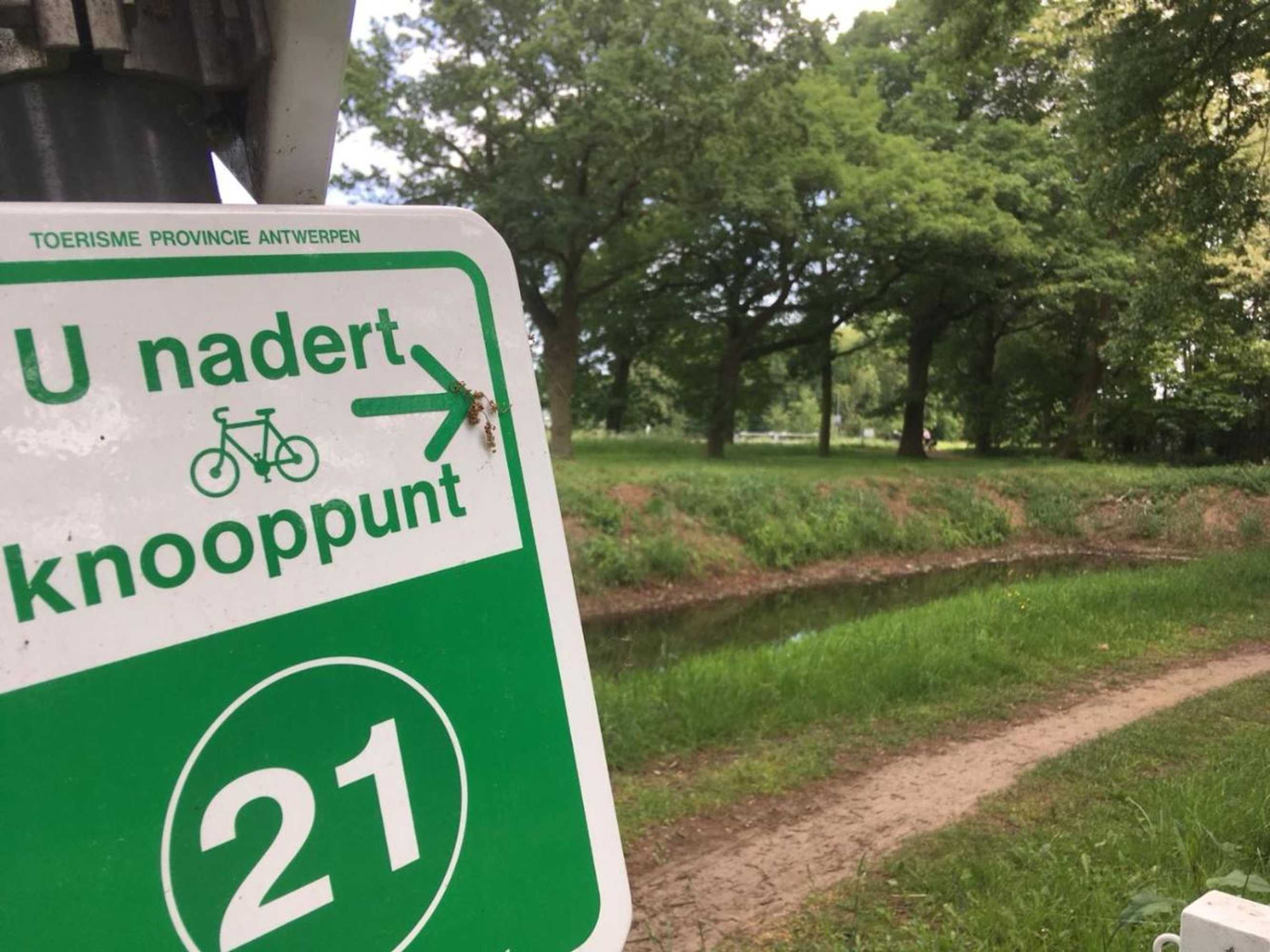 Gift card for Auxiliumwellness Get Back to Serenity