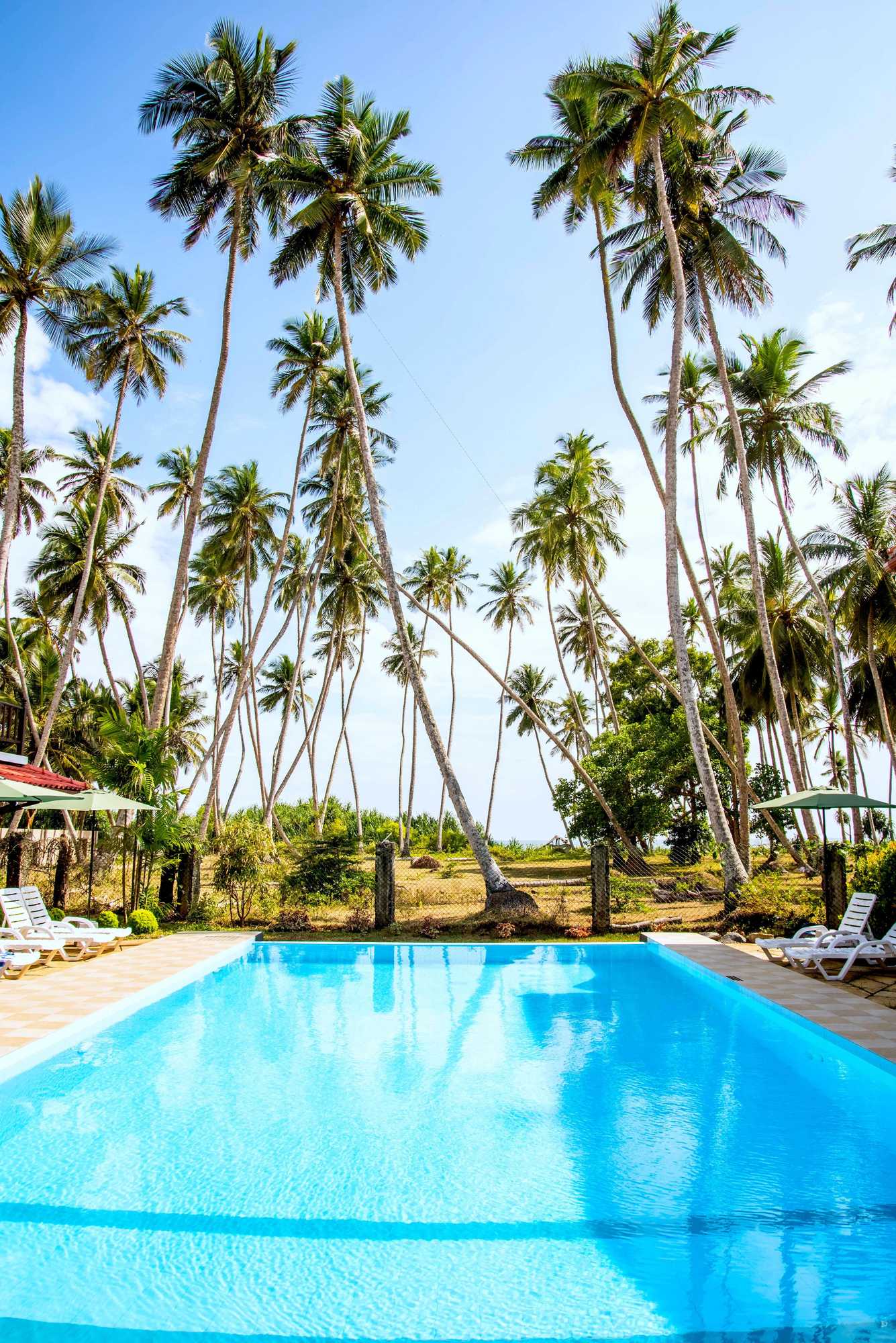 Gift card for Green Parrot Beach Resort Gift card for Green Parrot Beach Resort