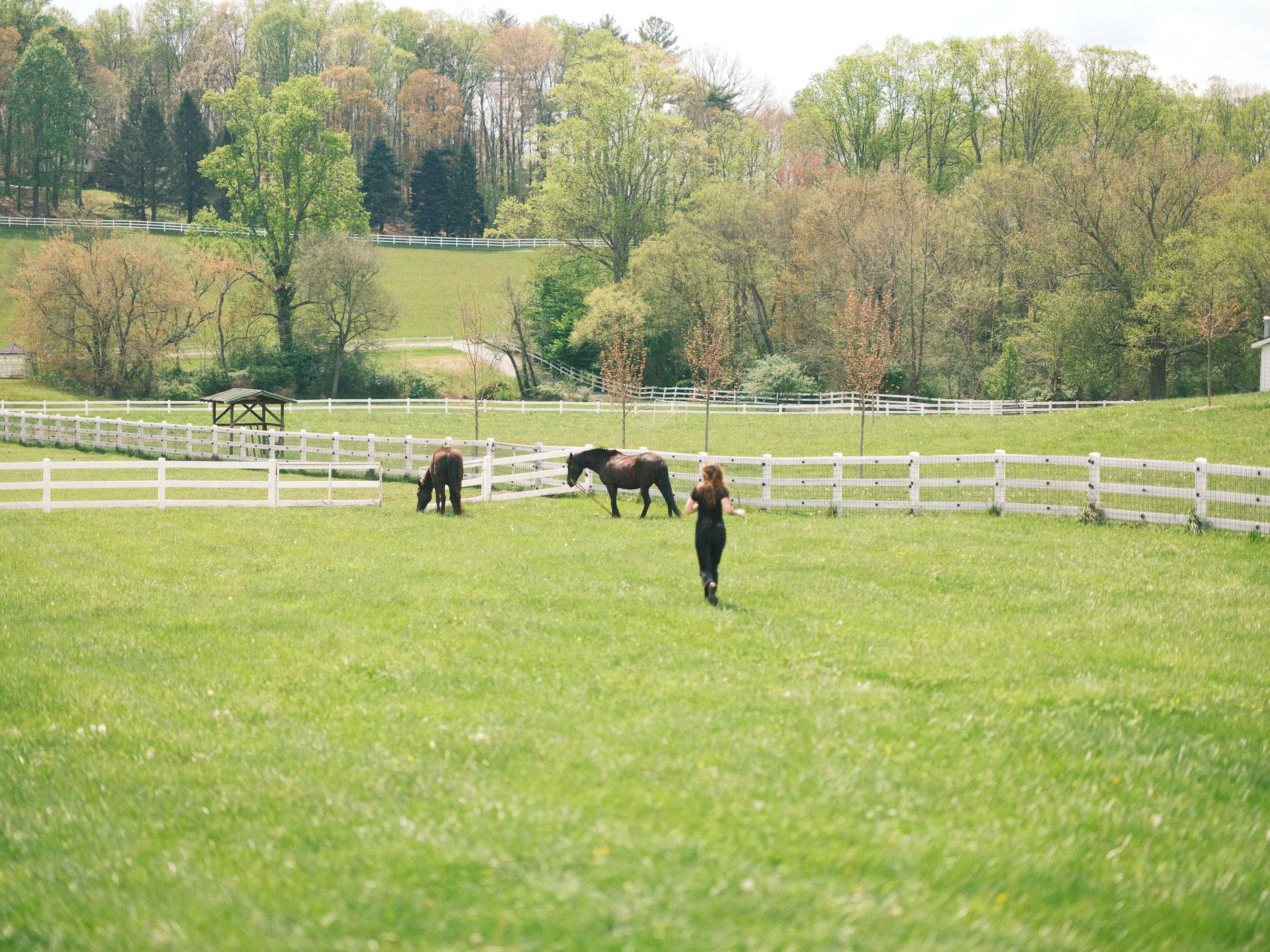 Gift card for The Horse Shoe Farm Gift card for The Horse Shoe Farm
