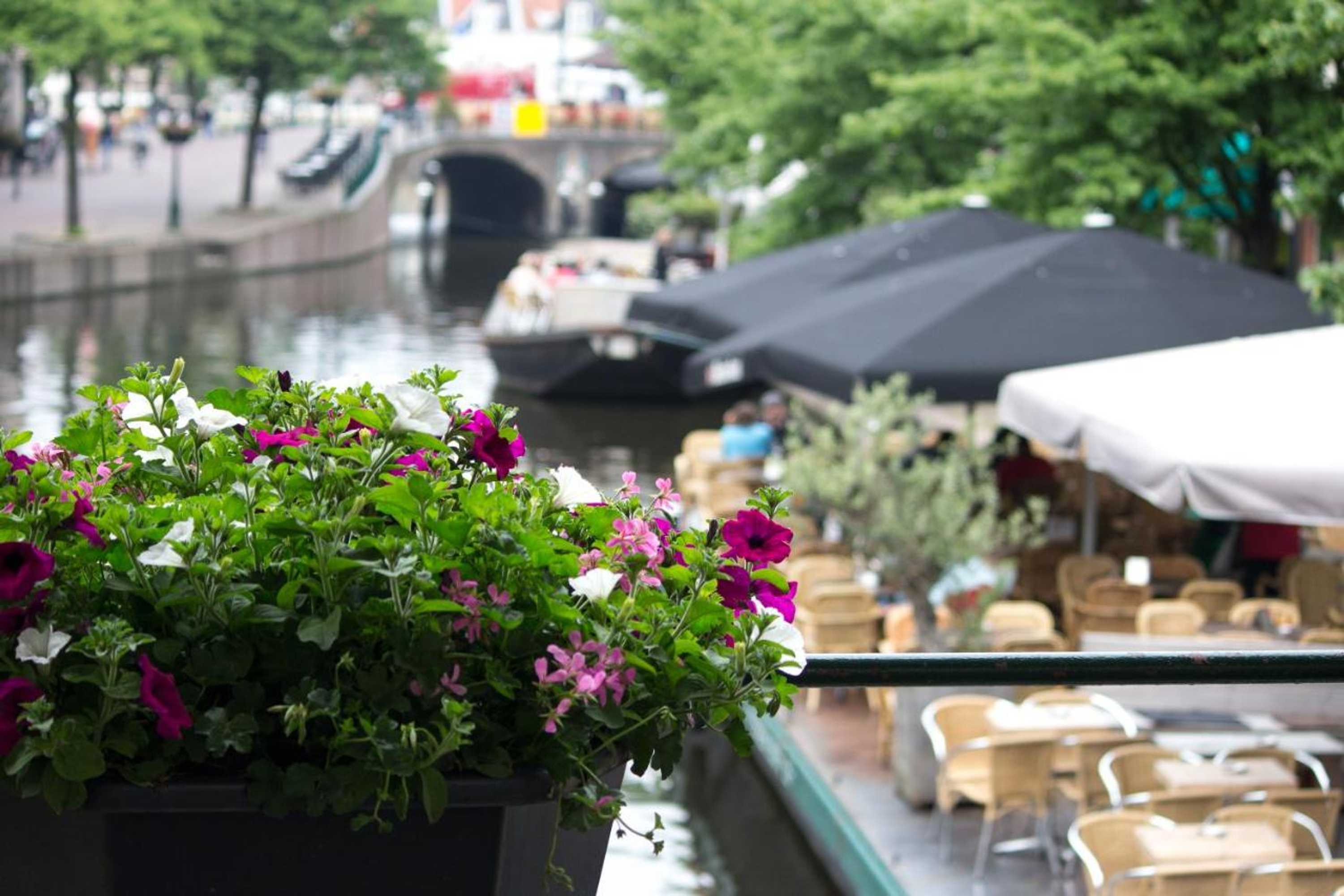 Gift card for Nr22 Leiden