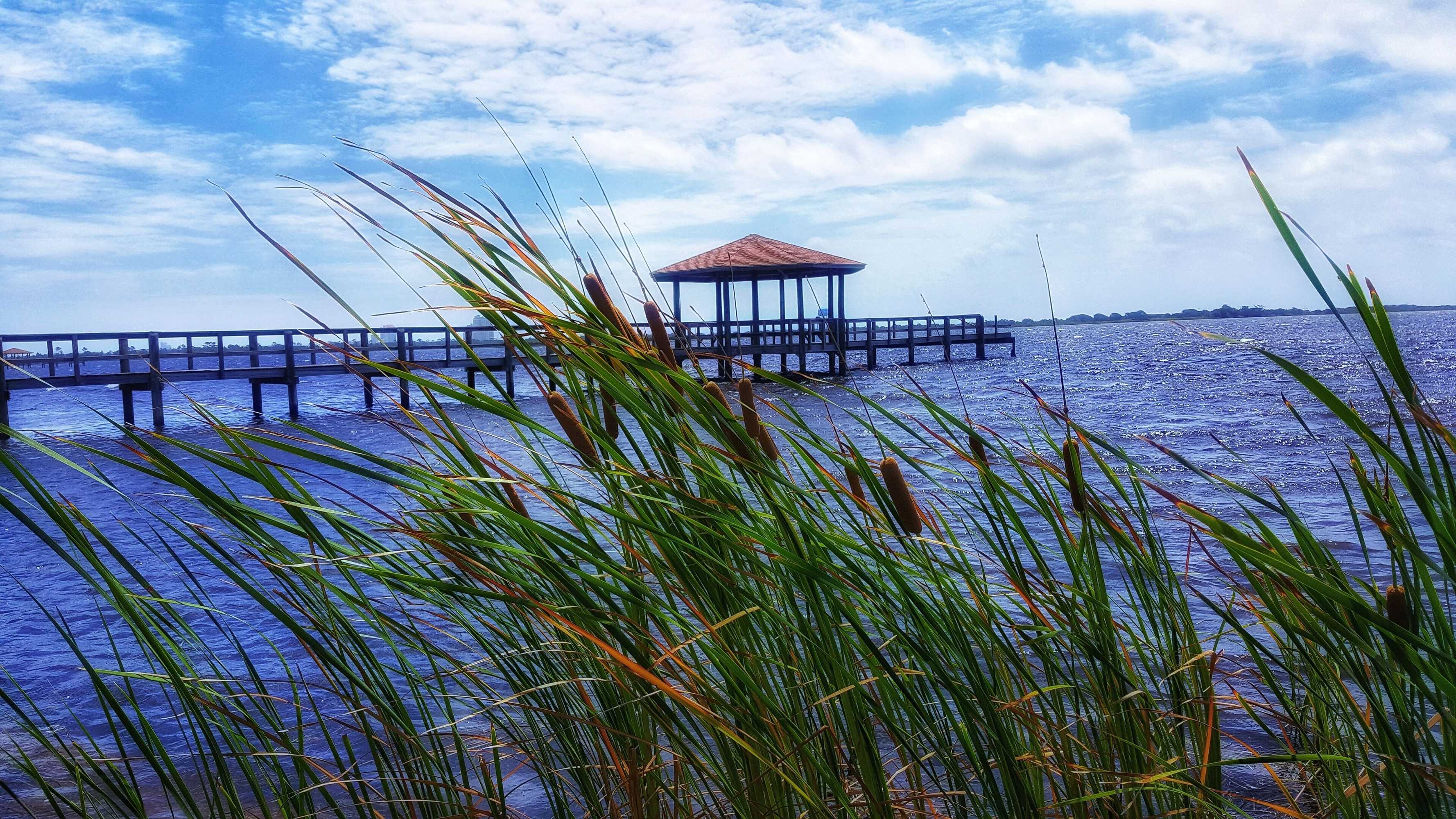 Gift card for Eagle Cottages at Gulf State Park Gift card for Eagle Cottages at Gulf State Park