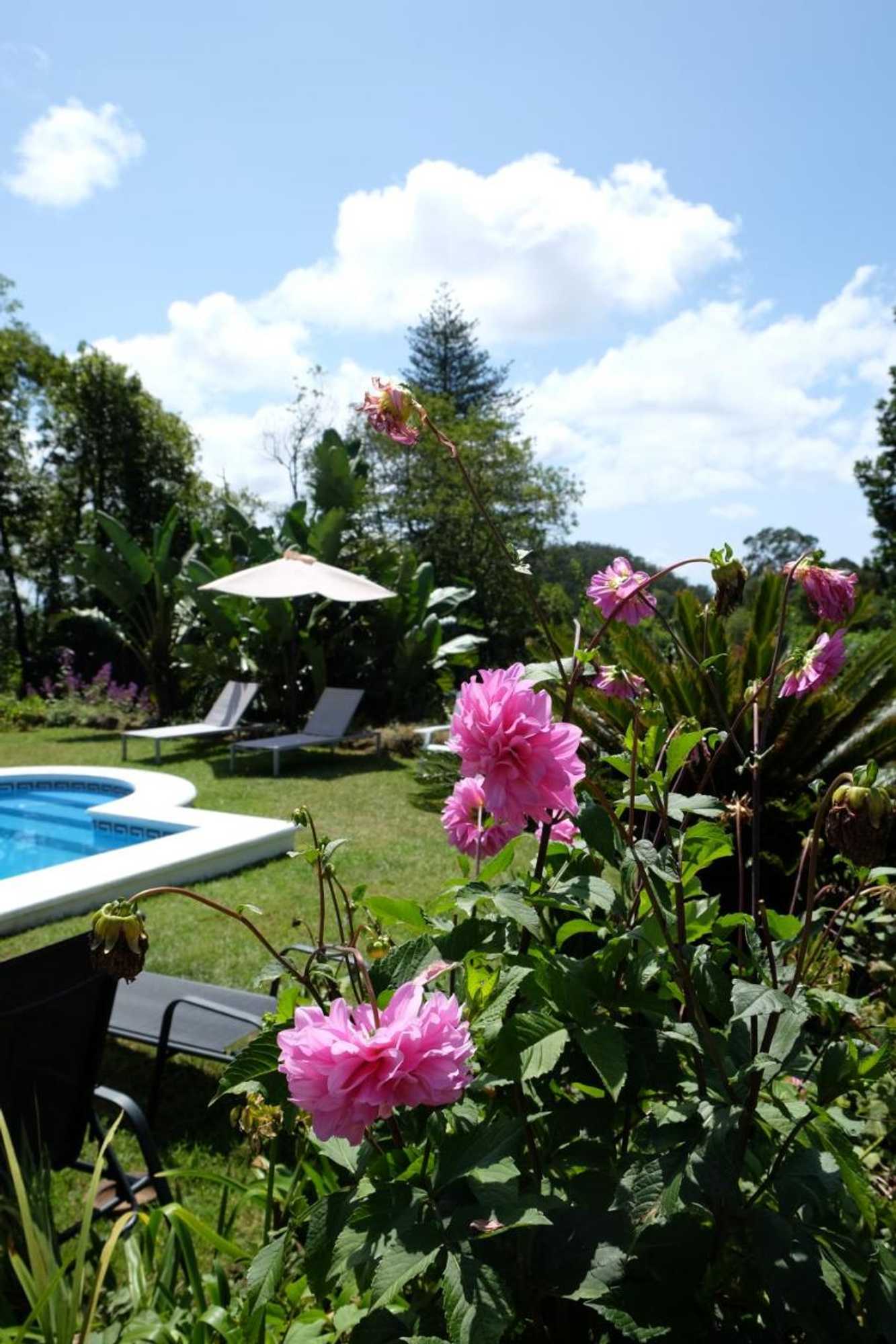 Gift card for Pink House Azores