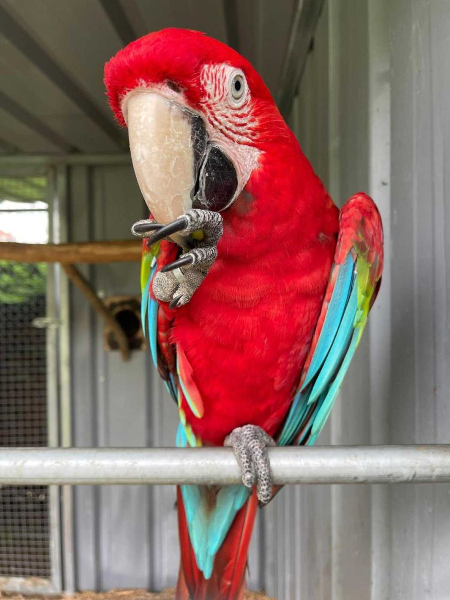 Gift card for Quinta do Lordelo Turismo Rural Gift card for Quinta do Lordelo Turismo Rural